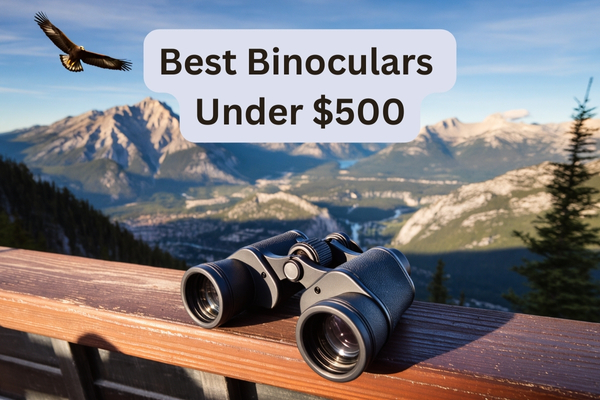 Best Binoculars Under $500