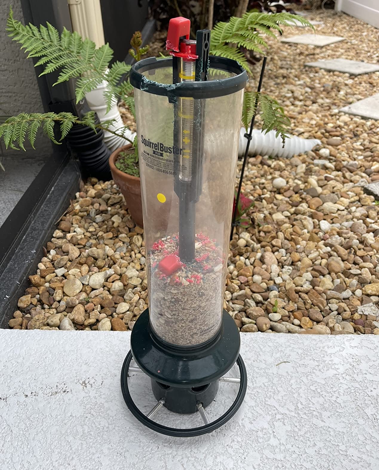 Squirrel Buster Plus Squirrel-proof Bird Feeder w/Cardinal Ring and 6 Feeding Ports, 5.1-pound Seed Capacity, Adjustable, Pole-mountable (POLE ADAPTOR SOLD SEPARATELY), Green - Customer Photo 2