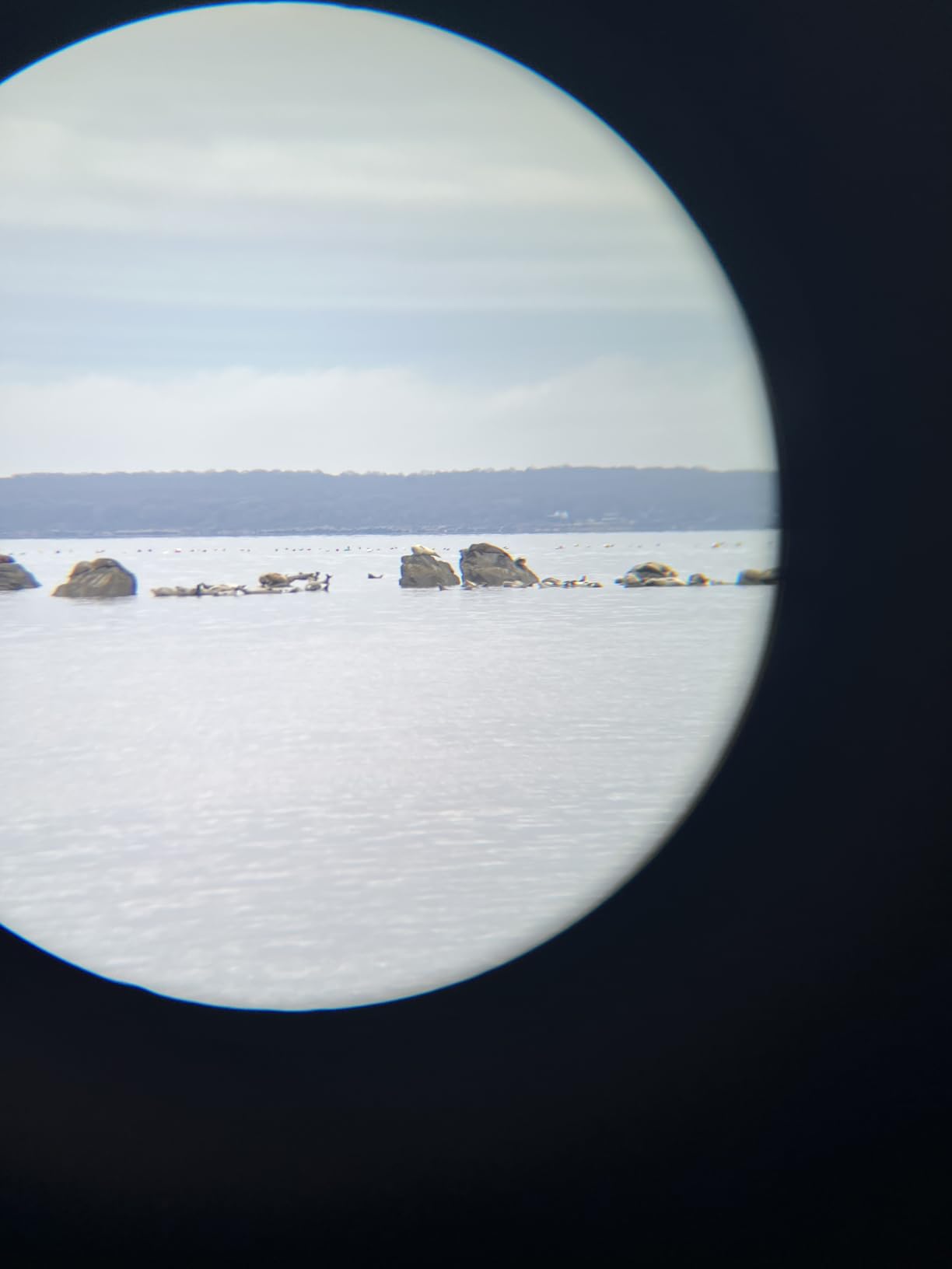 B00161ZI4A customer photo 1