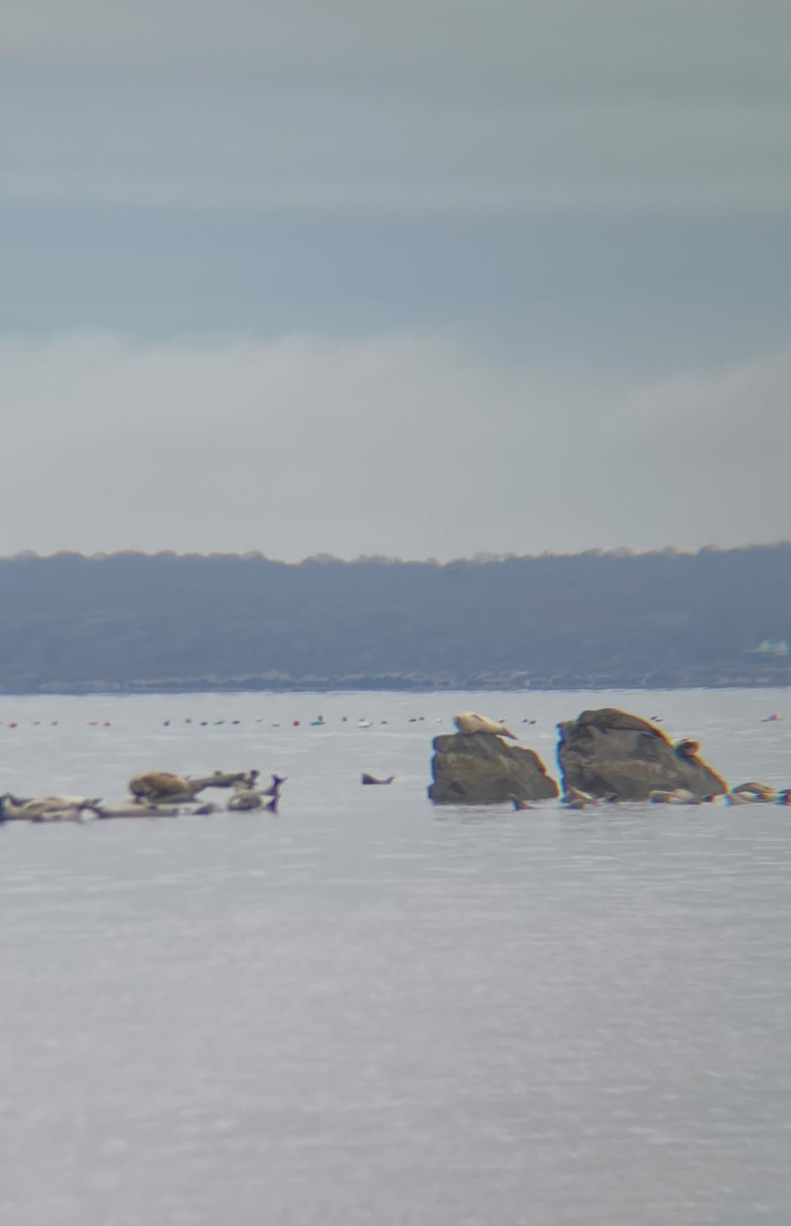 B00161ZI4A customer photo 2