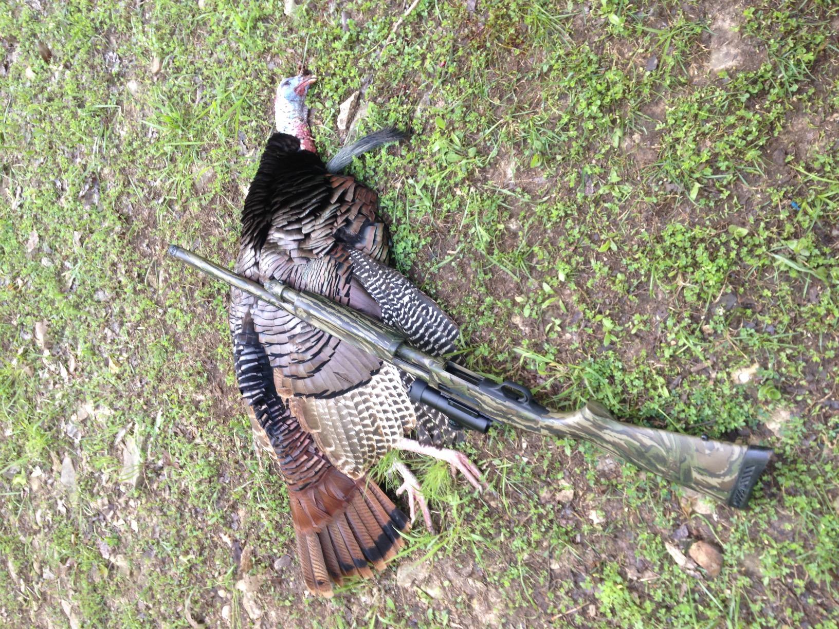 TRUGLO GOBBLE-STOPPER 30mm 3-MOA Turkey Hunting Dual-Color Center Dot Sights with Multi-Coated Lenses, Available in Anodized Matte Black or Realtree Finish - Customer Photo 2