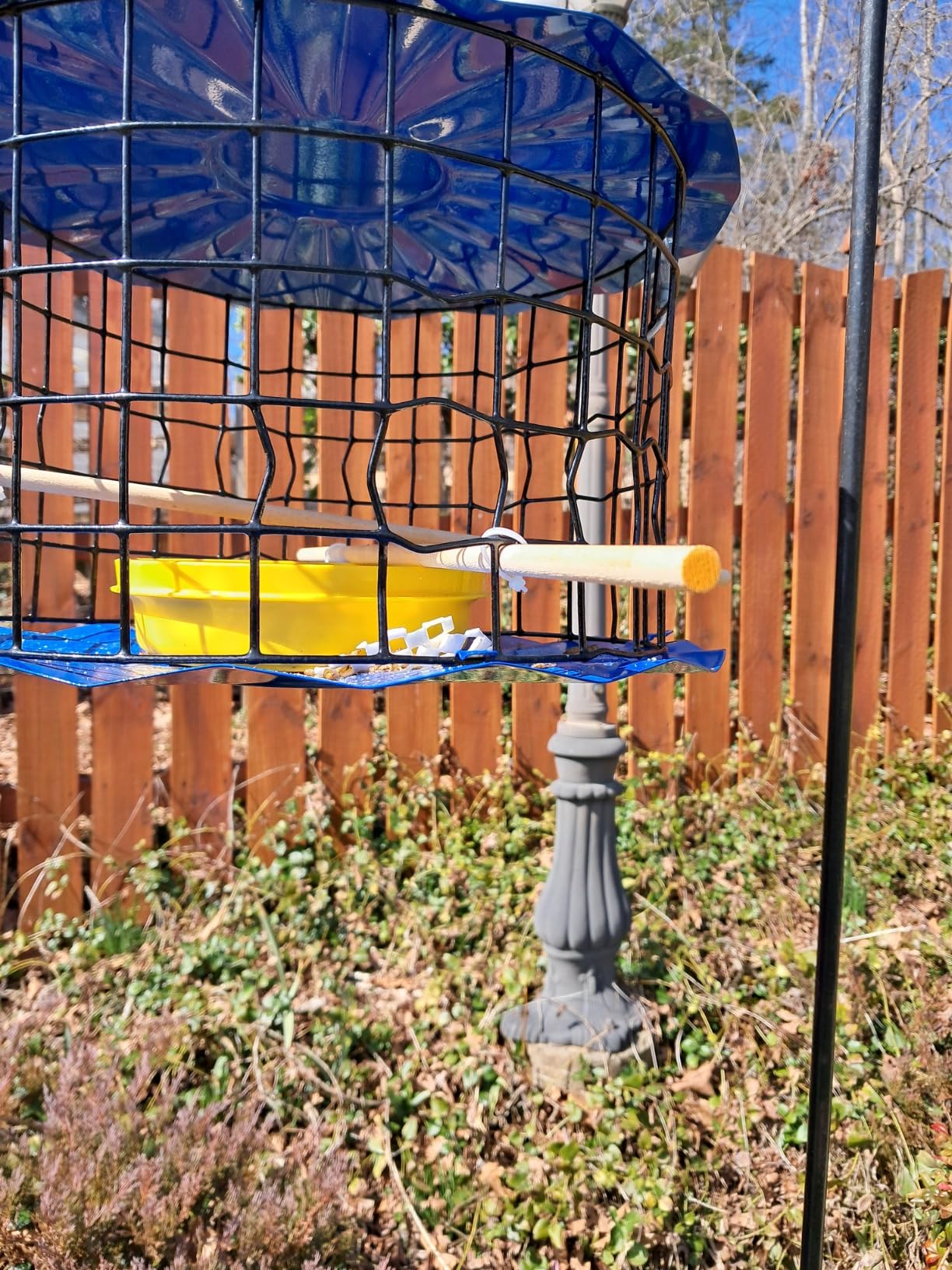 Erva Starling-Proof Barrier Guard Bluebird Feeder with Glass Mealworm Cup - Premium Blue Powdercoat Finish - Made in USA (BBF1) - Customer Photo 1