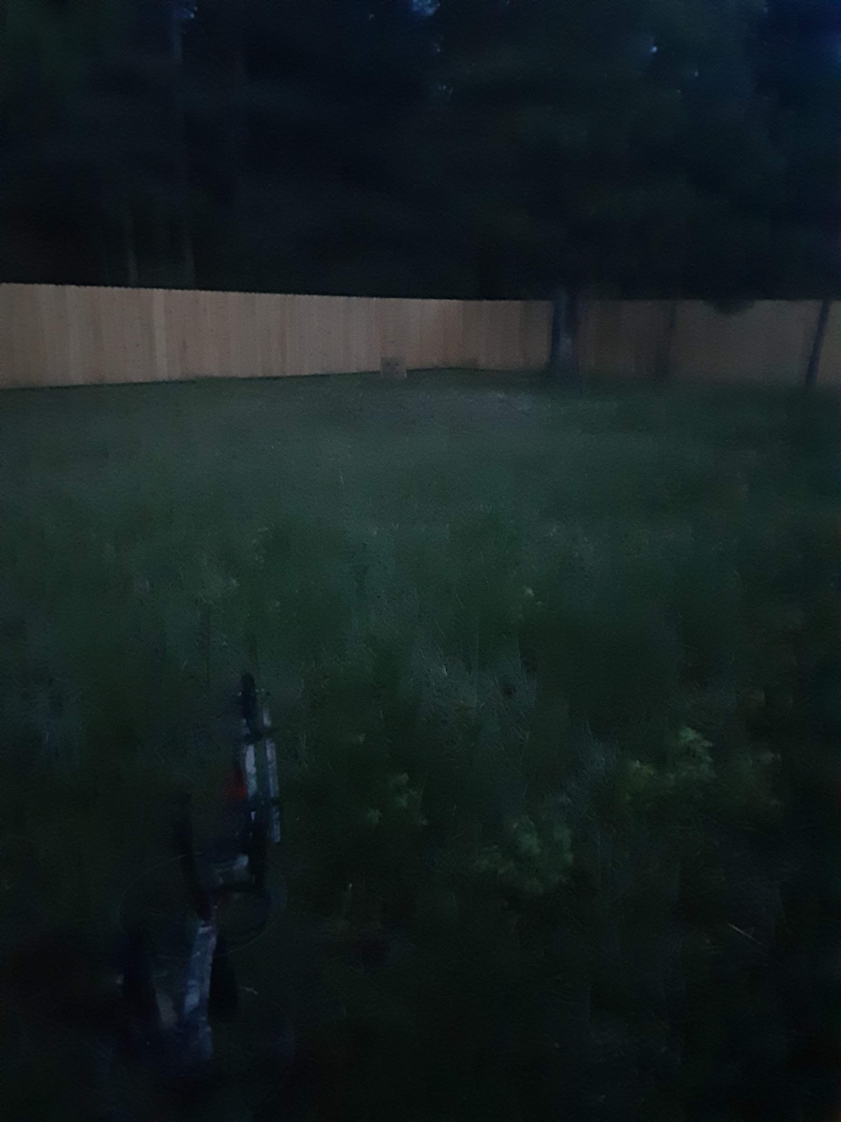 TRUGLO Centra Peep Pro Durable Lightweight Effective Versatile Easily Attached Hunting Archery Peep Sight - Diameter Options - Customer Photo 1