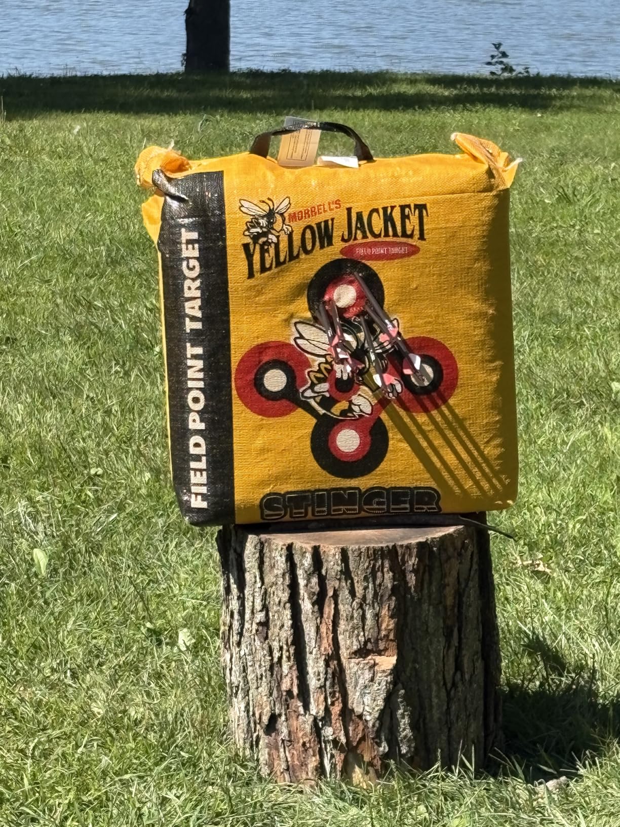 Morrell Yellow Jacket Stinger, Field Point Archery Target with 2 Shooting Sides & 10 Bullseyes - Portable Backyard Hunting Practice Bag with E-Z Tote Carrying Handle & Easy Arrow Removal customer photo 2