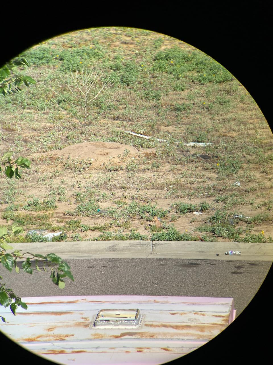 Vortex Optics Razor HD Roof Prism Binoculars - Customer Photo 1