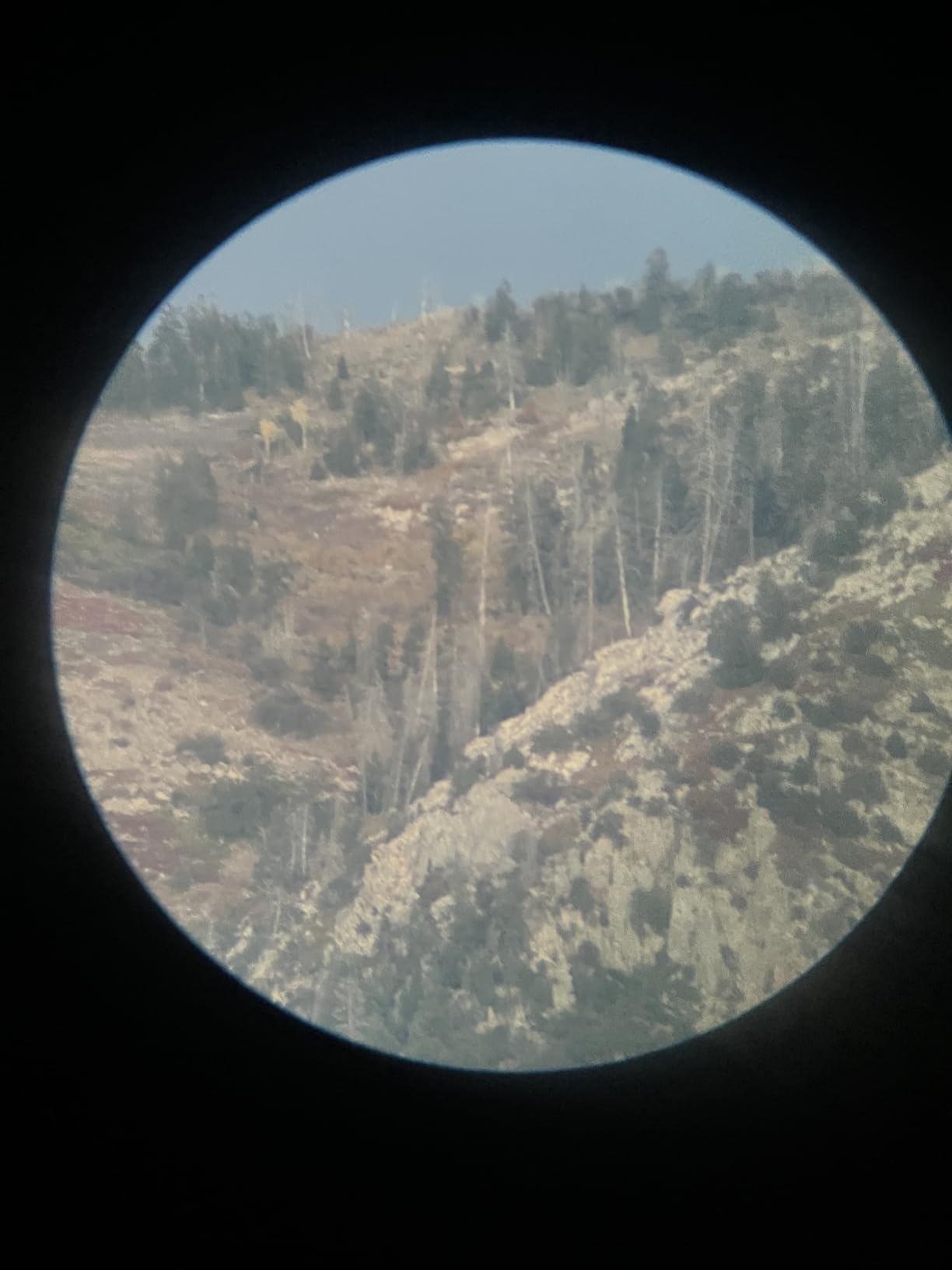 Vortex Optics Diamondback Spotting Scopes - Customer Photo 1