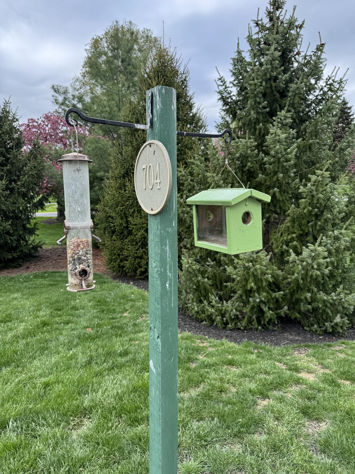 Kettle Moraine Cedar Hanging Bluebird Mealworm Feeder - Customer Photo 1