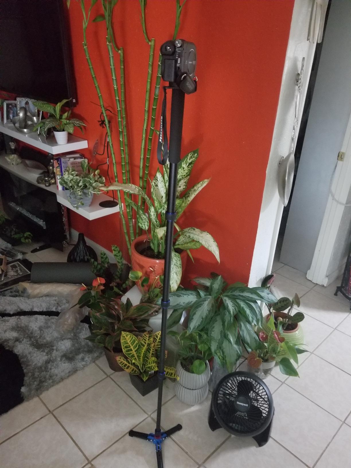 Koolehaoda Extendable Camera Monopod with Foldable Stand Base customer photo 1