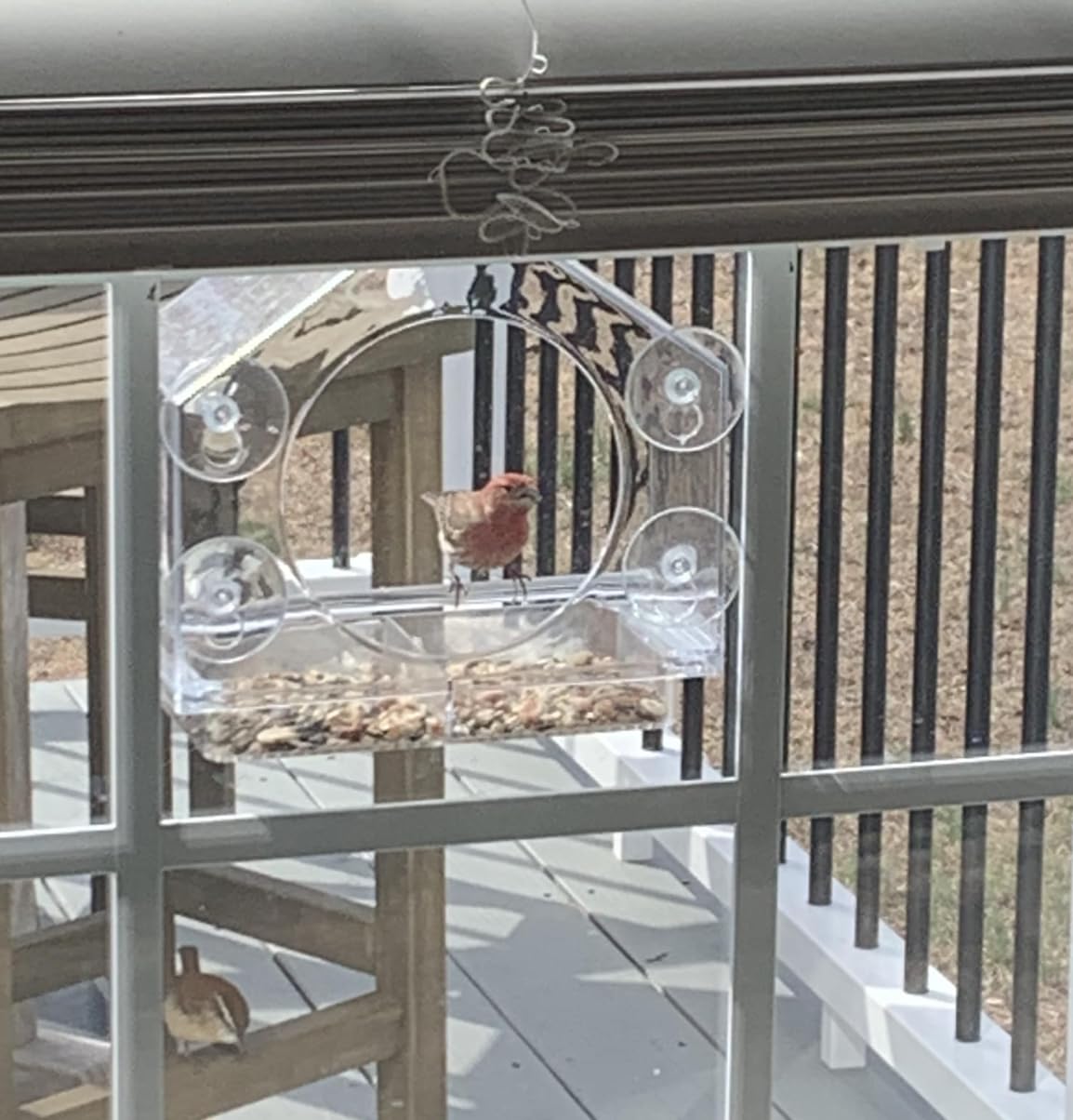 Window Bird Feeder by Nature Anywhere - Transparent Acrylic Bird Feeders for Outdoors - Enhanced Suction Grip, Bird Watching for Cats, Easy-to-Clean, Outdoor Birdhouse Feeder - Customer Photo 1