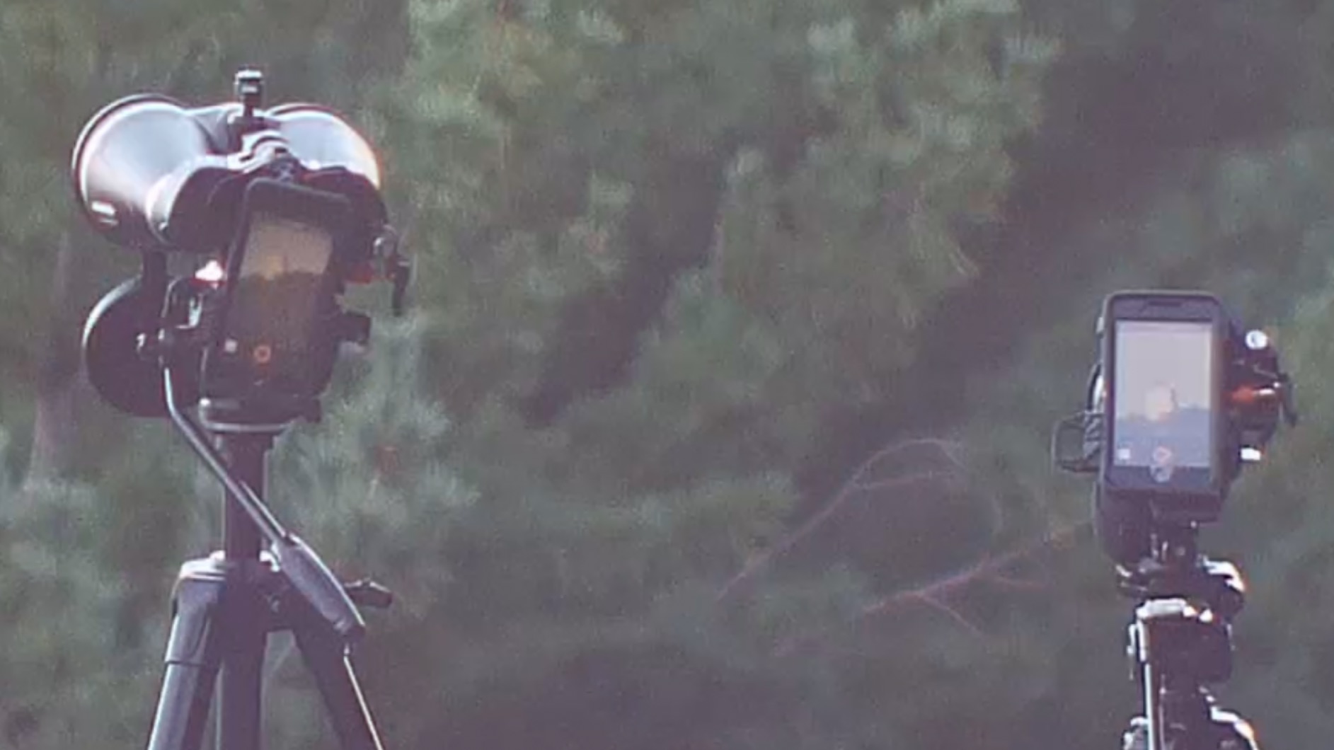 Celestron – SkyMaster Pro 20x80 Binocular – Outdoor and Astronomy Binocular – Large Aperture for Long Distance Viewing – Fully Multi-Coated XLT Coating – Tripod Adapter and Carrying Case Included - Customer Photo 2