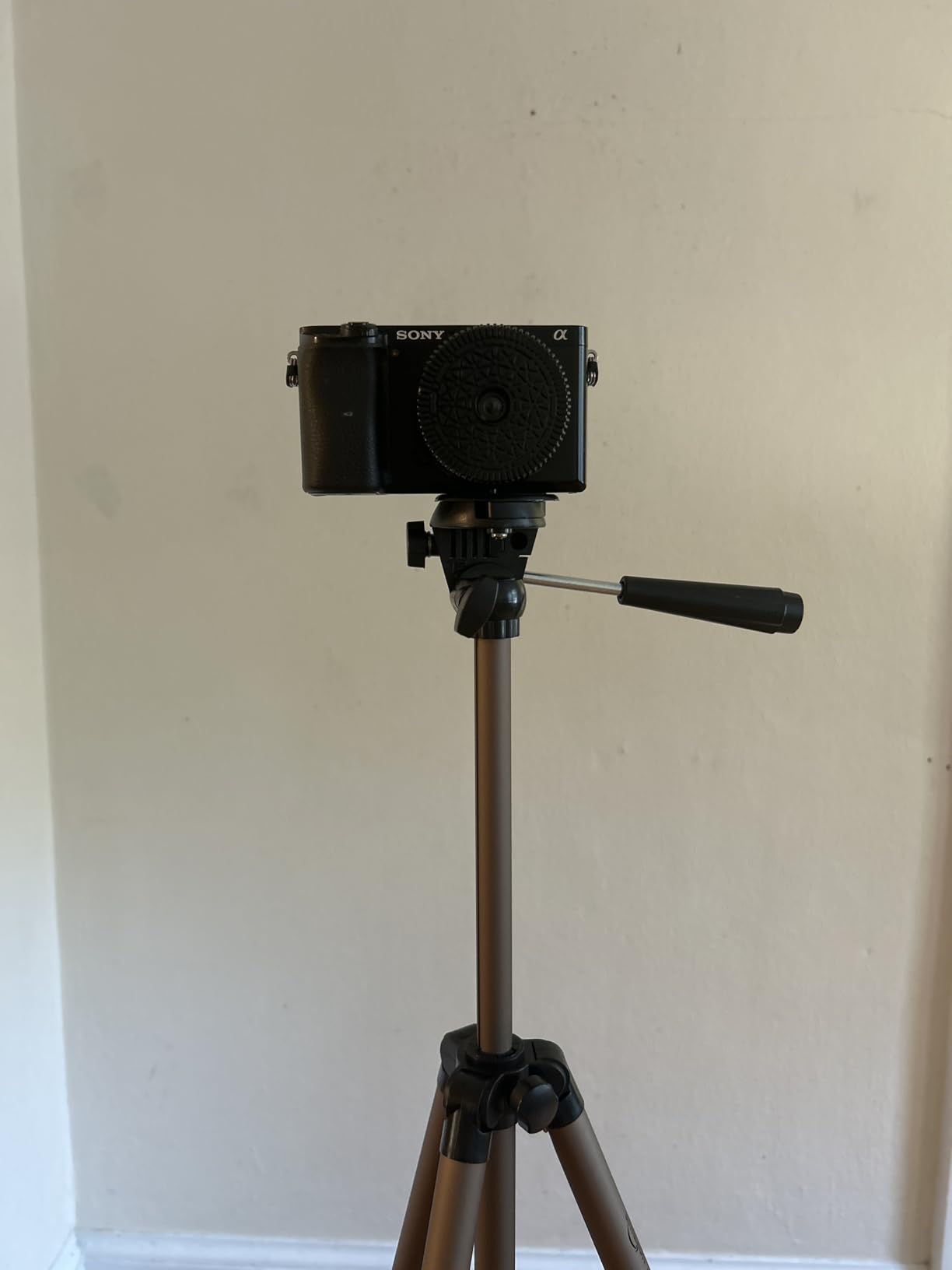 Amazon Basics 50-inch Lightweight Portable Camera Mount Tripod Stand with Bag, for Travel Photography, Champagne Customer Review Amazon Basics 50-inch Lightweight Portable Camera Mount Tripod Stand with Bag, for Travel Photography, Champagne - Customer Photo 3