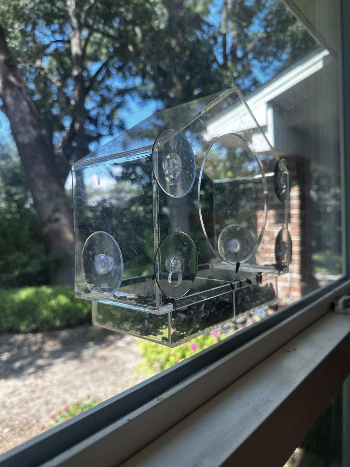 Window Bird Feeder by Nature's Hangout - Award-Winning Transparent Acrylic Bird Feeders for Outdoors, No Assembly, Strongest Suction Cups, Birds Watching for Cats, Easy-to-Clean Birdhouse Feeder - Customer Photo 2