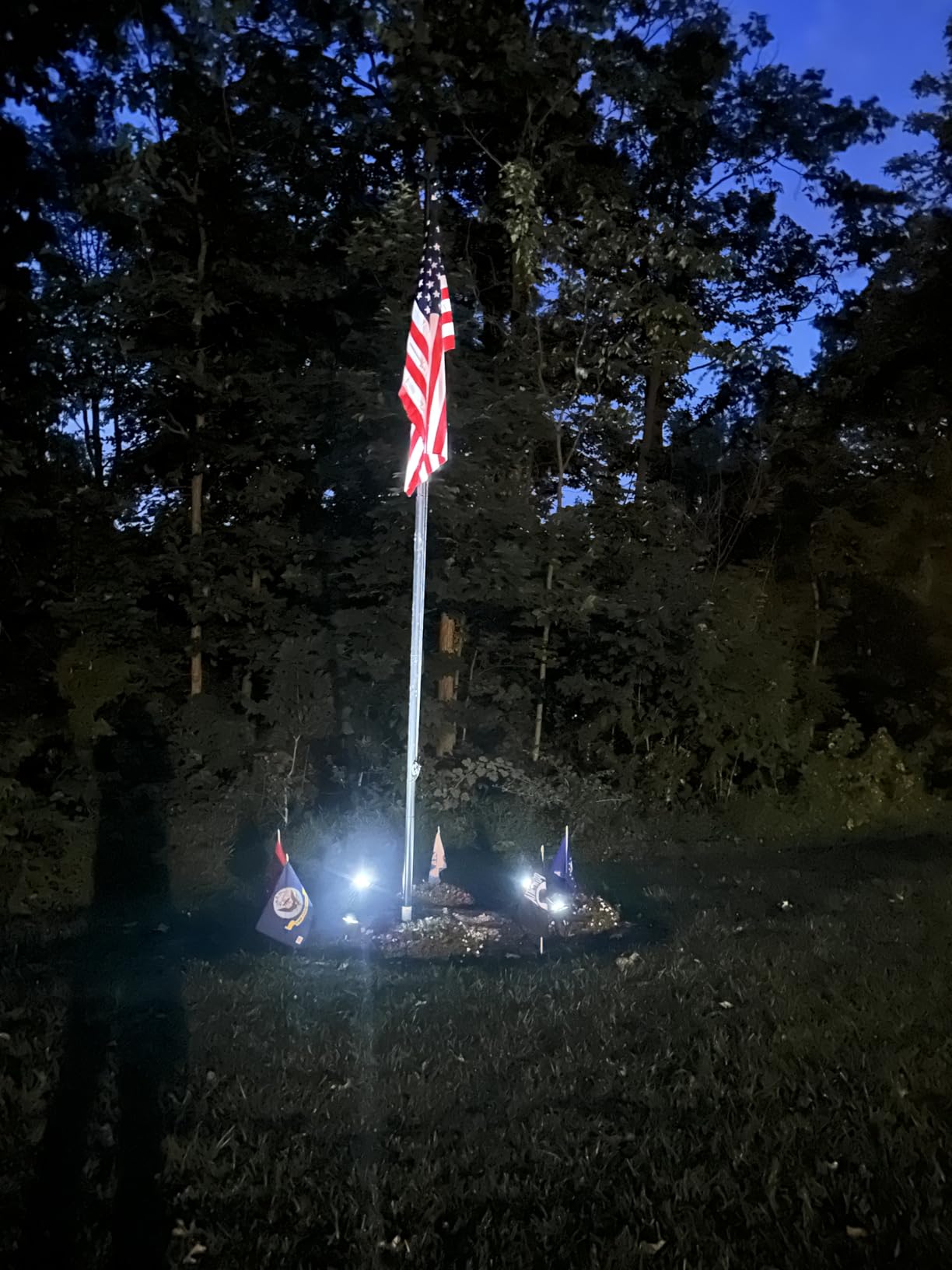 Solar Spot Lights Outdoor Waterproof for Flag, Palm Tree, Pole, Sign, Statue, Mailbox, Bright LED Outside Landscape Flood Spotlights for Accent Uplighting Yard, Garden, House, Backyard, Patio Customer Review Solar Spot Lights Outdoor Waterproof for Flag, Palm Tree, Pole, Sign, Statue, Mailbox, Bright LED Outside Landscape Flood Spotlights for Accent Uplighting Yard, Garden, House, Backyard, Patio - Customer Photo 4