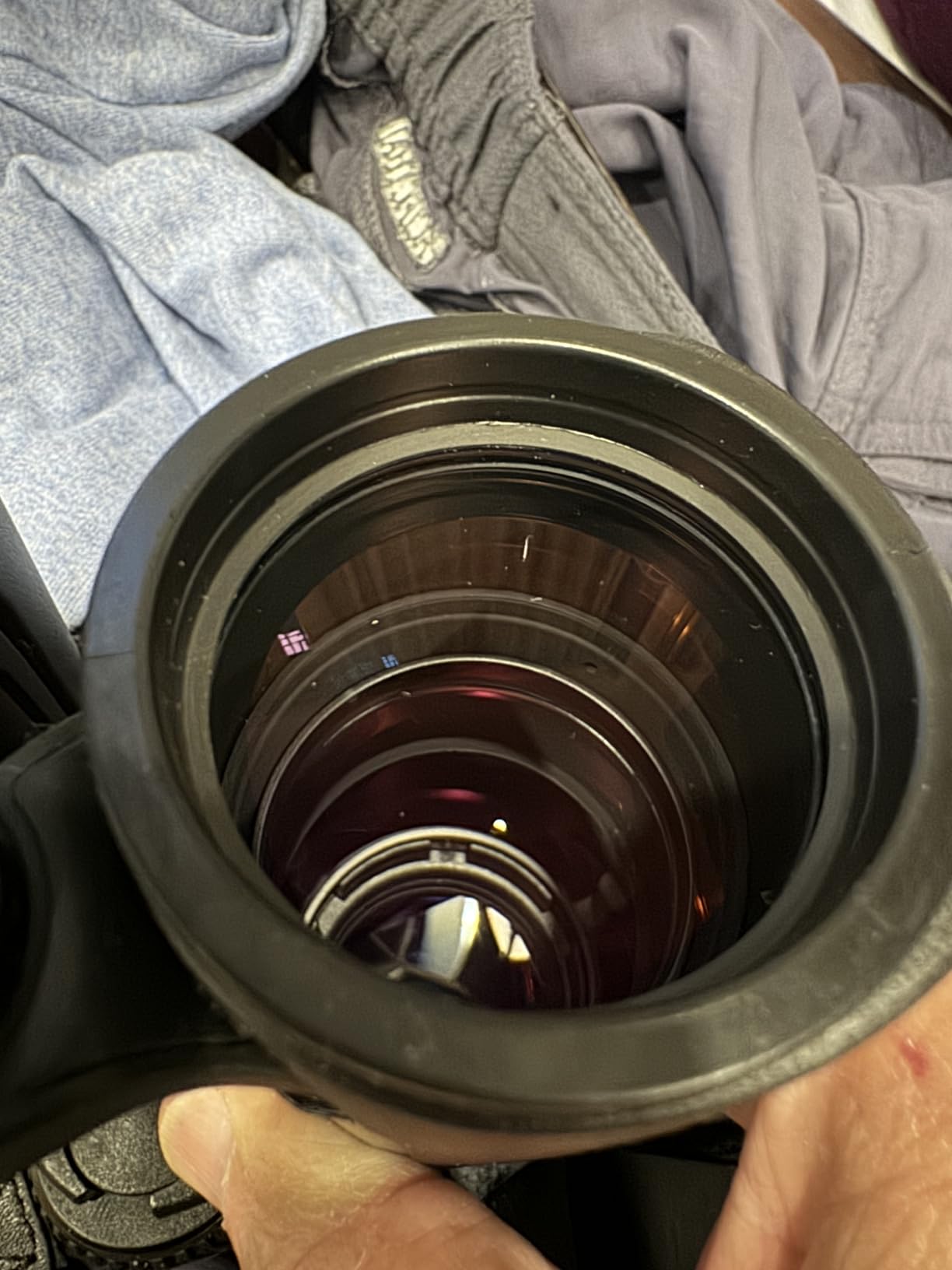 ZEISS Victory SF Binocular 10x42 customer photo 1