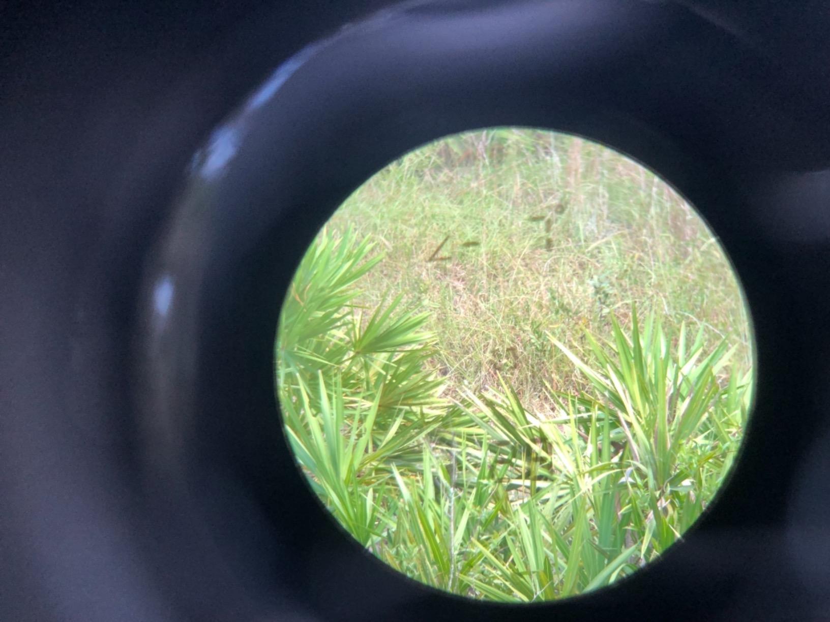 Halo Optics XL 450 Rangefinder Customer Review Halo Optics XL 450 Rangefinder - Customer Photo 2