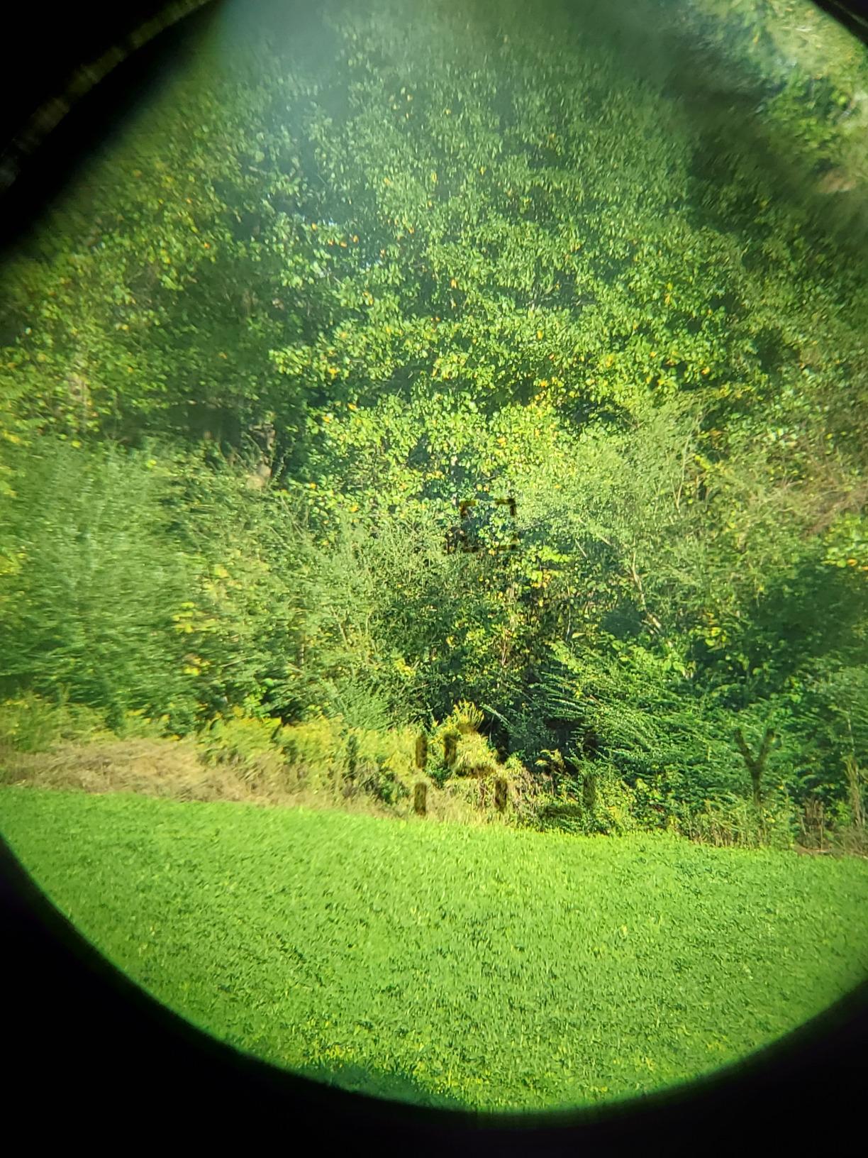 Halo Optics XL 450 Rangefinder Customer Review Halo Optics XL 450 Rangefinder - Customer Photo 4