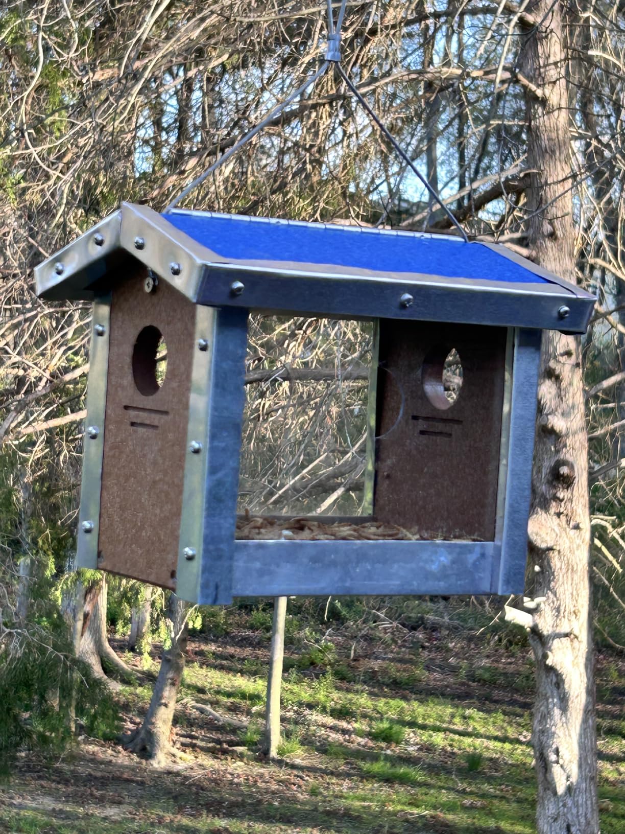 Kettle Moraine Recycled Bluebird Mealworm Feeder Hang or Mount (Blue, Blue) - Customer Photo 1