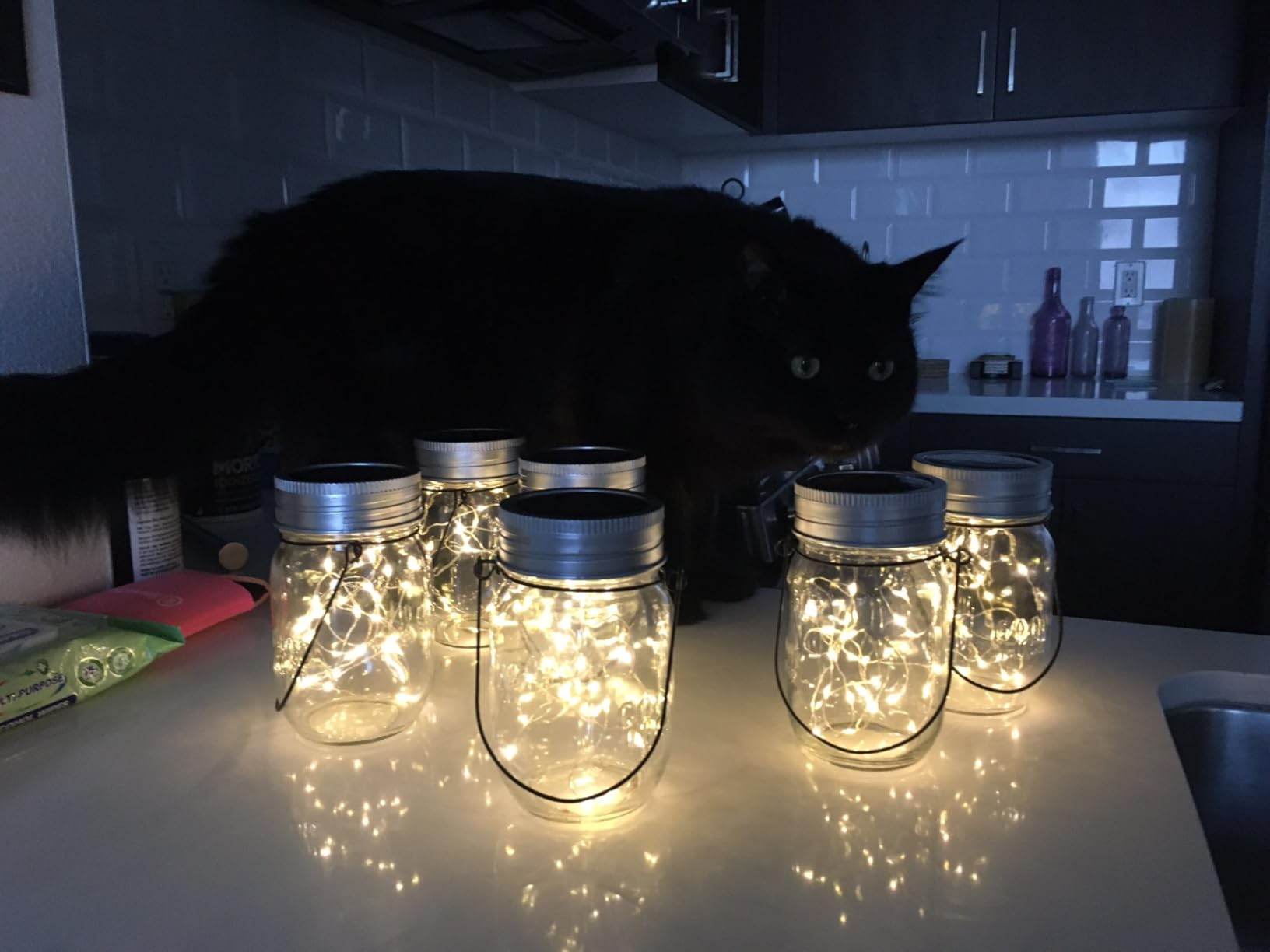 GIGALUMI Hanging Mason Jar Solar Lights, 6 Pack 30 Led Hanging Solar Lanterns Outdoor Waterproof, Hangers and Jars Included, Outdoor Decor for Balcony, Garden, Patio, Yard, Wedding - Customer Photo 1