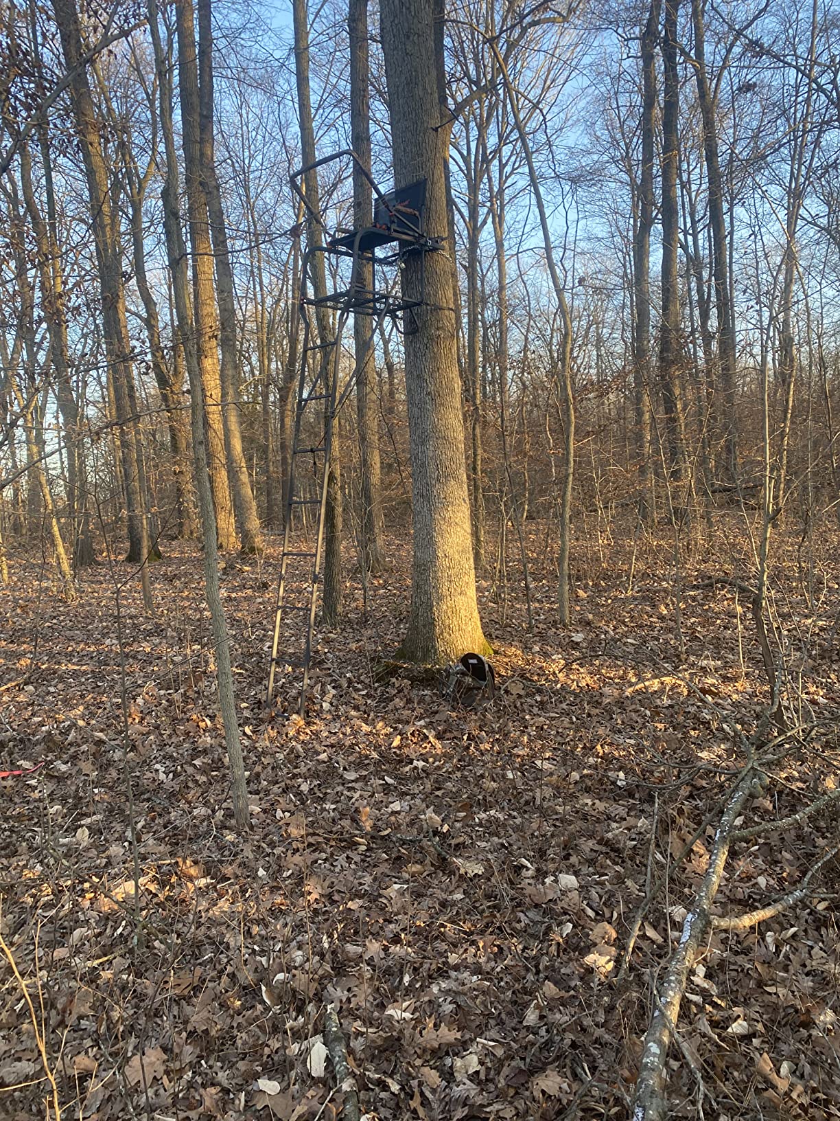 BIG GAME 1-Person Ladder Tree Stand for Hunting Deer, Flex-Tek Seat, Black - Adjustable Climbing Treestand with Platform and Safety Harness for Shooting Customer Review BIG GAME 1-Person Ladder Tree Stand for Hunting Deer, Flex-Tek Seat, Black - Adjustable Climbing Treestand with Platform and Safety Harness for Shooting - Customer Photo 2