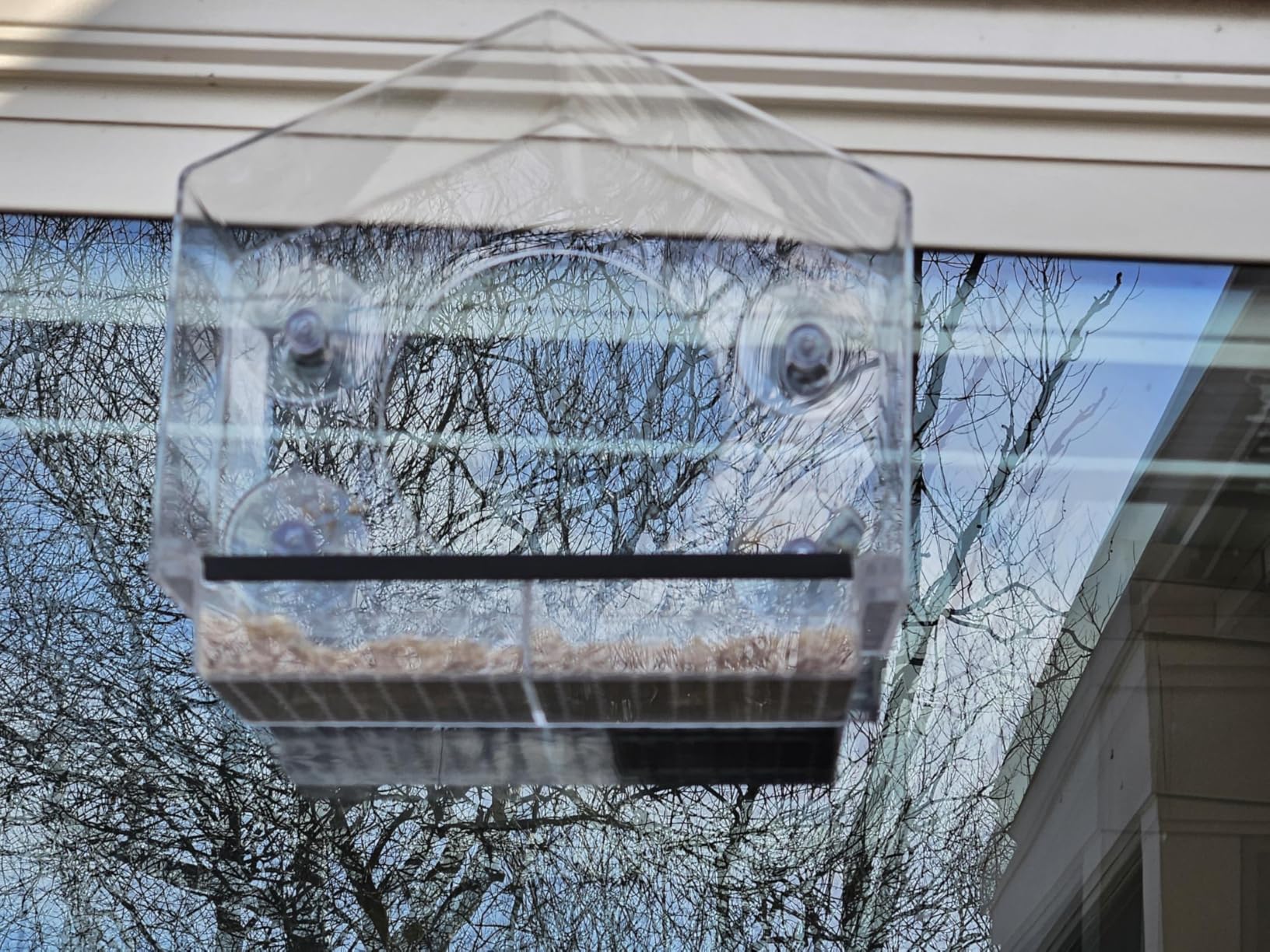 Window Bird Feeder with Strong Suction Cups (Clear) Bird Feeders for Outdoors with Drain Holes, Removable Tray and Large Seed Capacity - Customer Photo 4