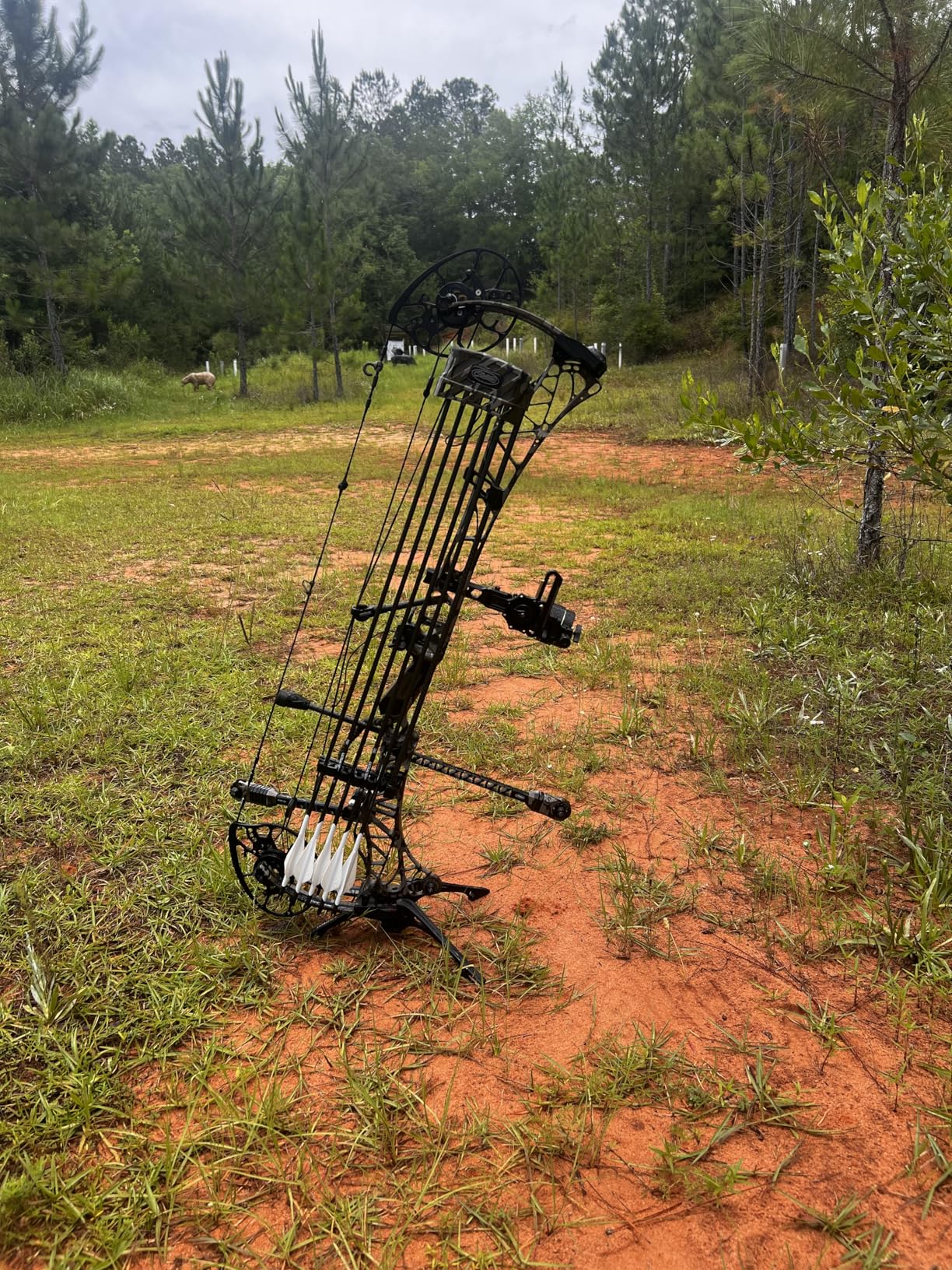 This premium peep sight uses aerospace anti-glare technology.