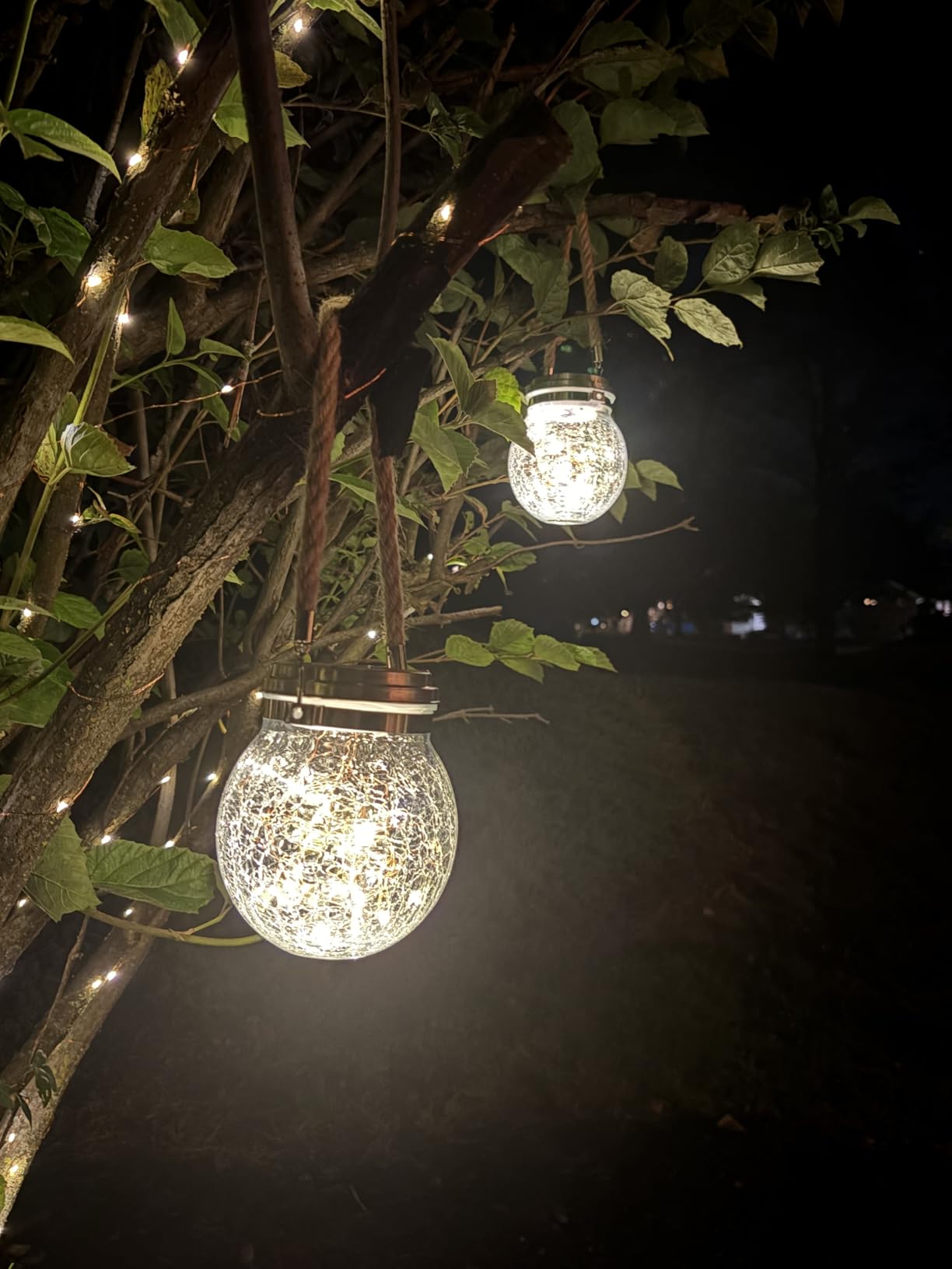 ROSHWEY Solar Lantern, 2 Pack Outdoor Lanterns with 30 LED Waterproof Garden Decor Patio Solar Lights Outdoor Decorative Backyard Outdoor Hanging, Warm Light - Customer Photo 1