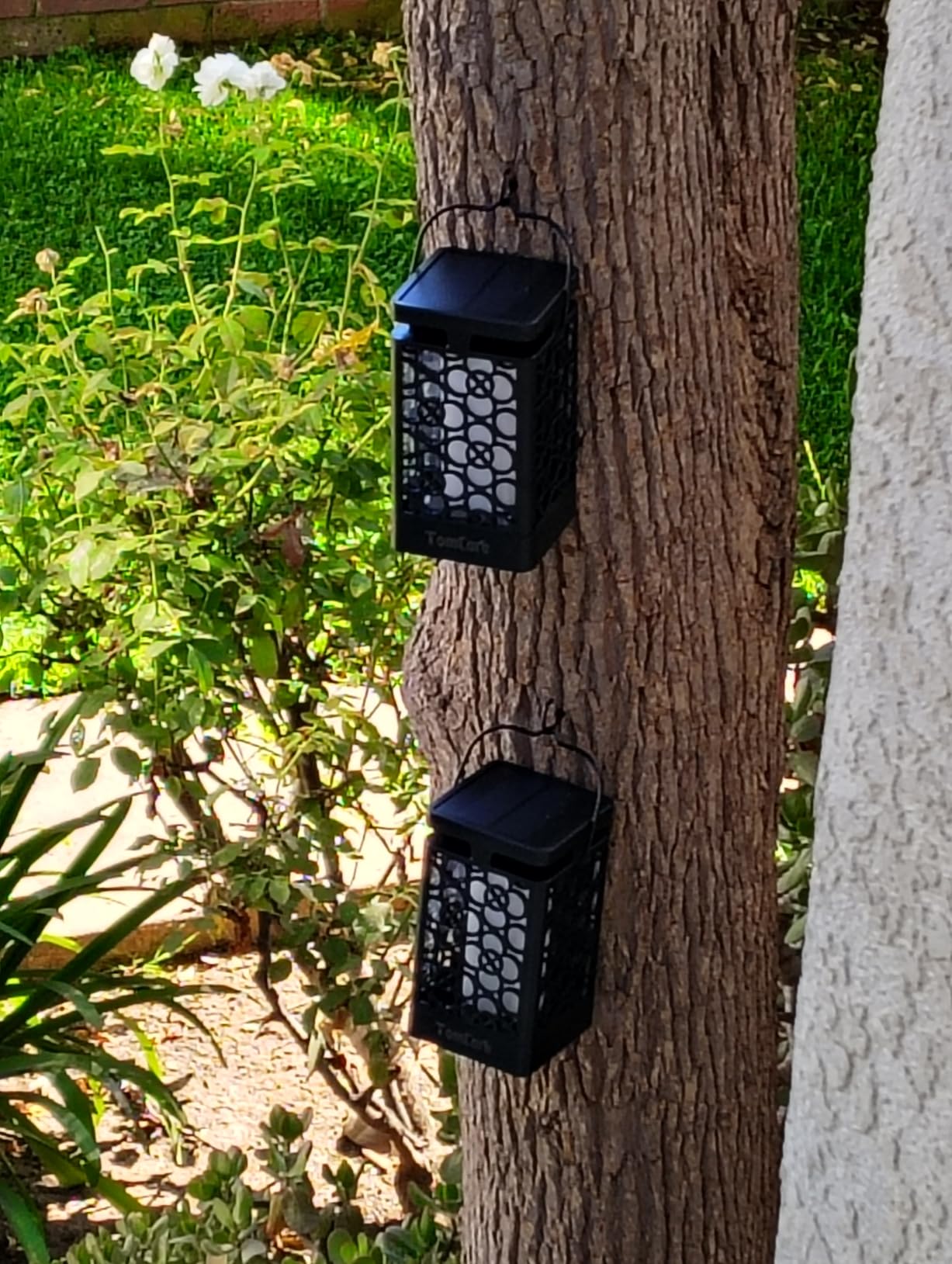TomCare Solar Lanterns Outdoor Upgraded Flickering Flame Waterproof Hanging Lanterns Decorative Solar Powered LED Christmas Lights for Patio Deck Yard, 2 Pack - Customer Photo 2