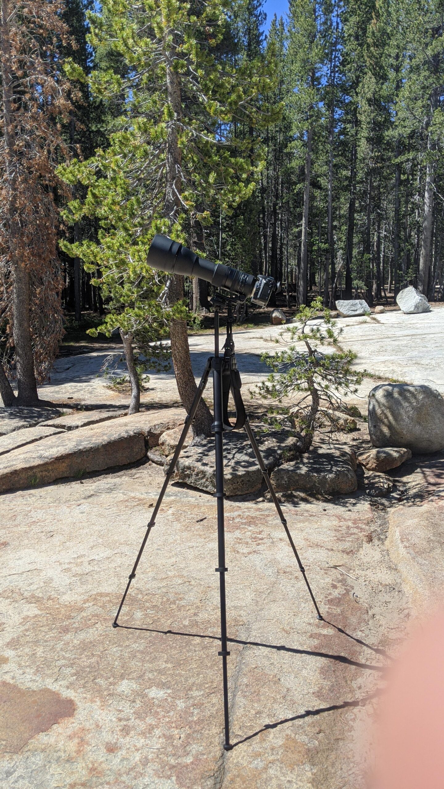 Peak Design Travel Tripod, Aluminum, Compact Design, Quick Setup and Takedown, Pro-Level Stability, Ergonomic Ball Head, Compact and Portable Travel Tripod for Camera and Phone, 20 lb Capacity Customer Review Peak Design Travel Tripod, Aluminum, Compact Design, Quick Setup and Takedown, Pro-Level Stability, Ergonomic Ball Head, Compact and Portable Travel Tripod for Camera and Phone, 20 lb Capacity - Customer Photo 1
