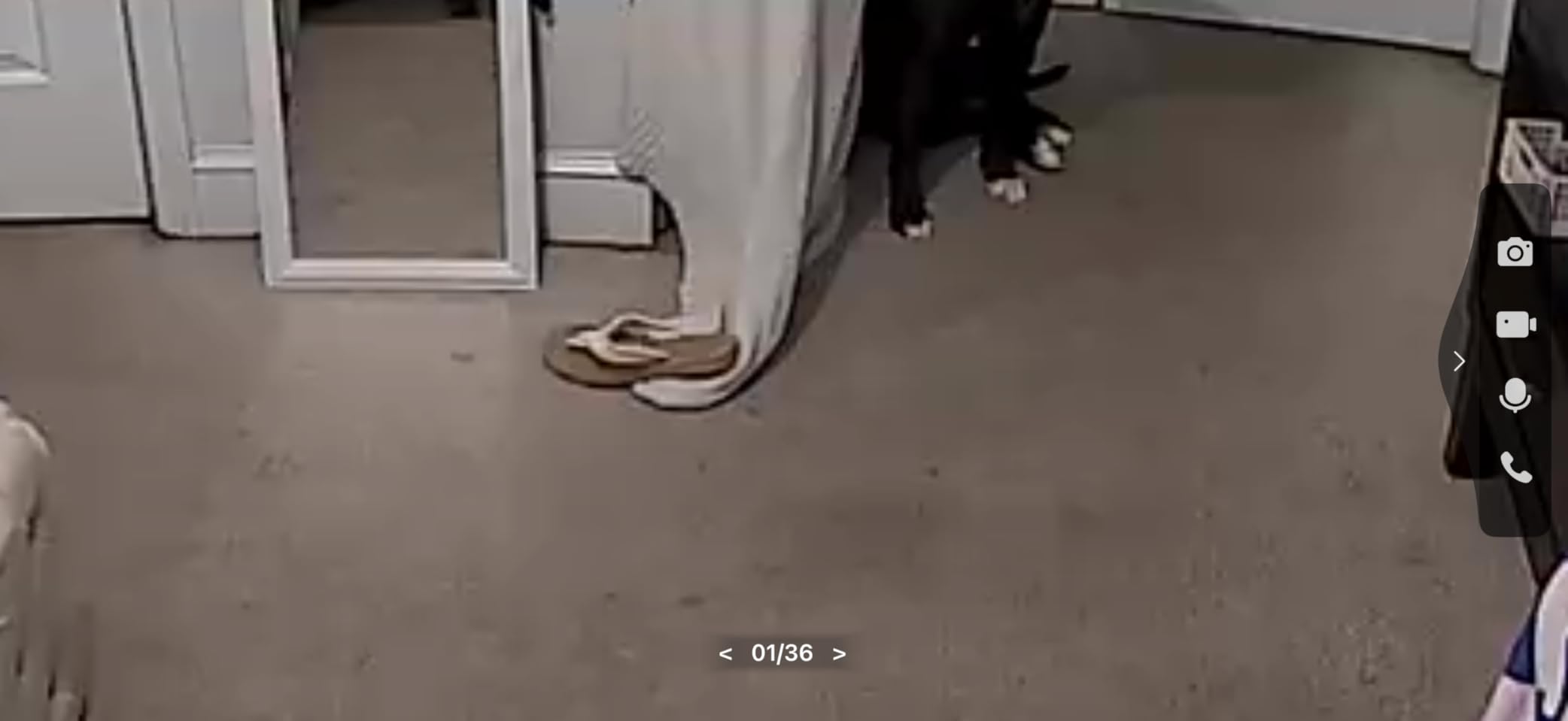 Tapo TP-Link 1080P Indoor Security Camera for Baby Monitor, Dog Camera w/Motion Detection, 2-Way Audio Siren, Night Vision, Cloud & SD Card Storage, Works w/Alexa & Google Home C100 - Customer Photo 3