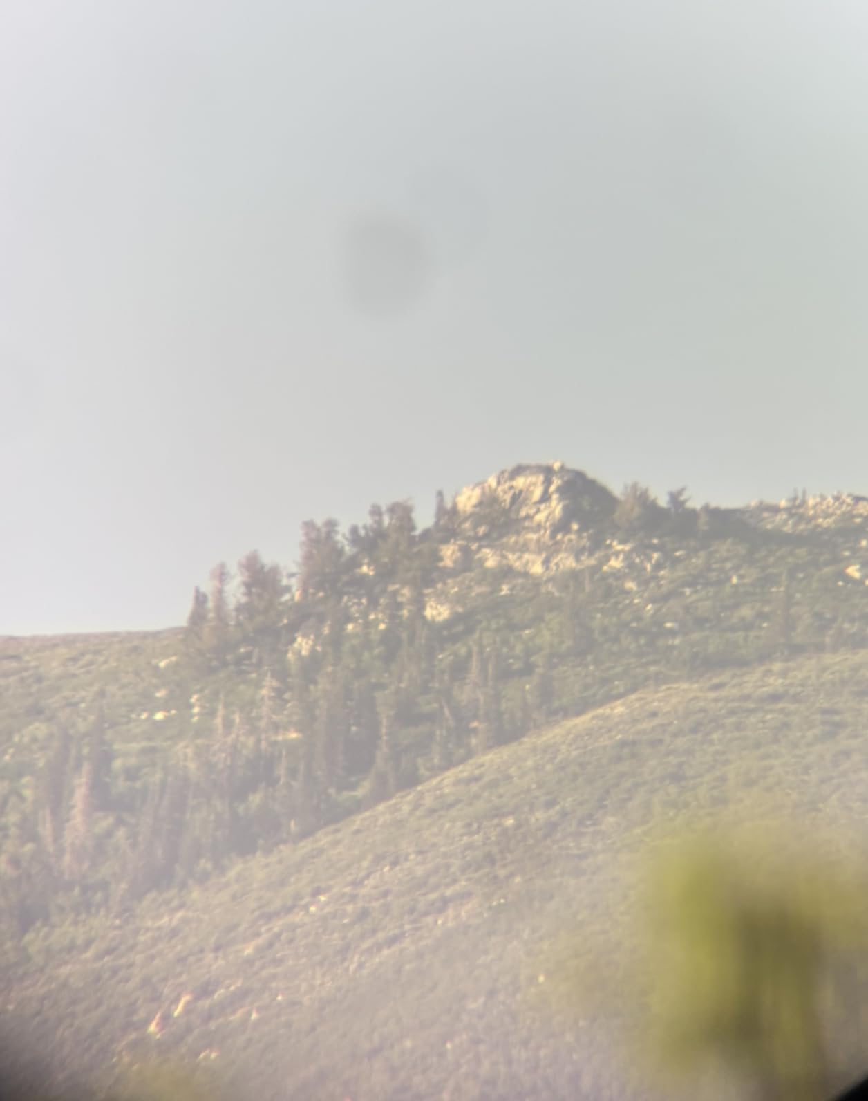 Vortex Optics Diamondback HD Spotting Scopes - Customer Photo 1