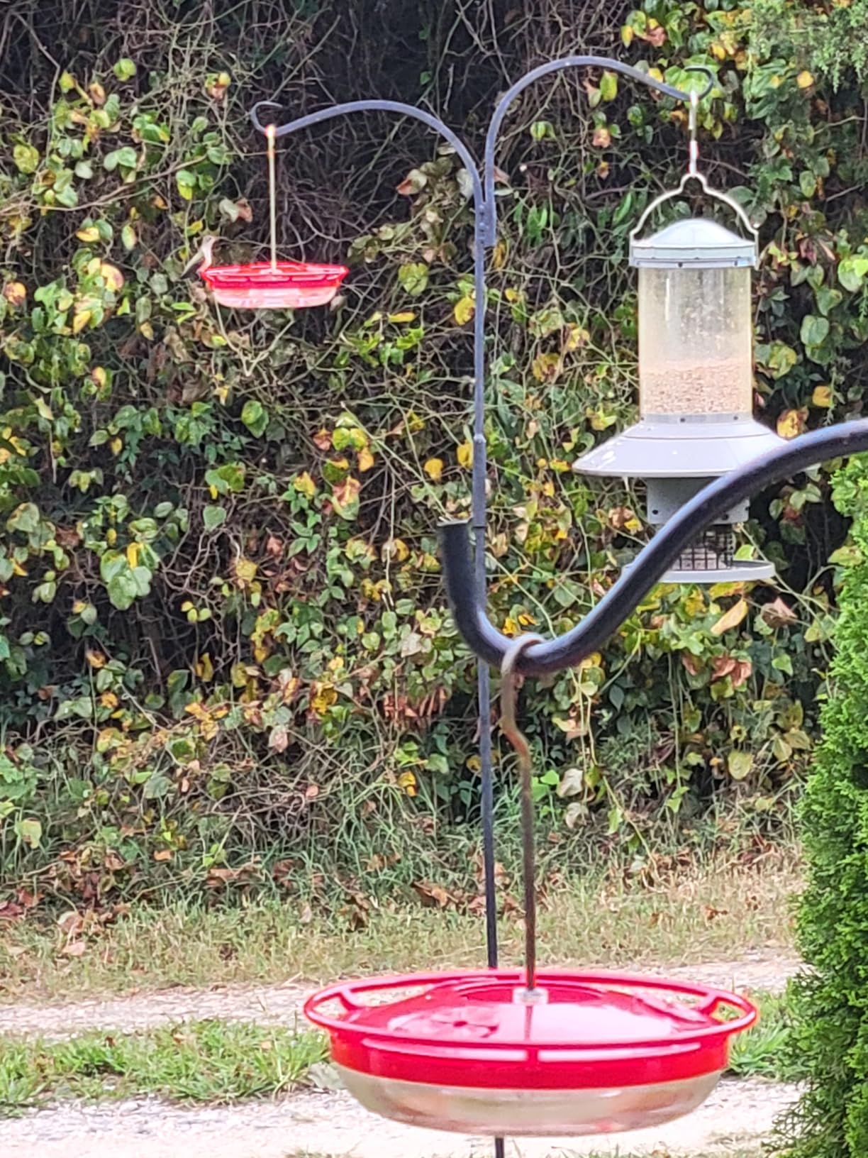 FEED GARDEN 2 Pack 16 OZ Hummingbird Feeders for Outdoor 5 Feeder Ports Ant Bee Proof Leak-Proof Cleaning Brushes Nectar Easy Clean Fill Bird Feeder for Garden Red Décor Gifts for Mom - Customer Photo 1