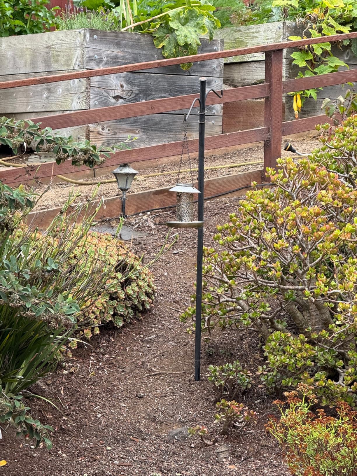 SWEETFULL Solar Bird Feeder for Outdoors Hanging, Metal Wild Bird Feeder for Cardinals Solar Garden Lantern with S Hook as Gift for Bird Lovers (2LBs Heavy Duty birdfeeders) - Customer Photo 1