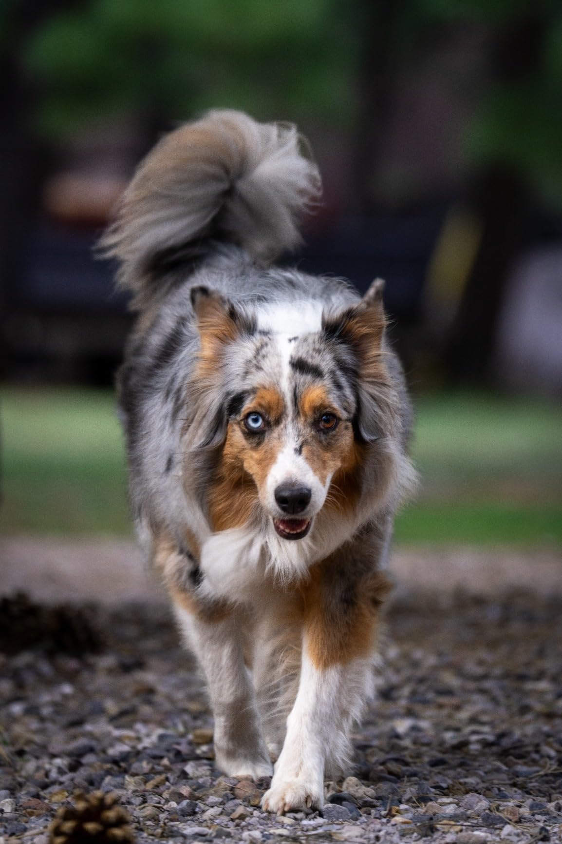 Tamron 150-500mm f/5-6.7 Di III VC VXD Lens for Full Frame Sony Mirrorless Camera - Customer Photo 2