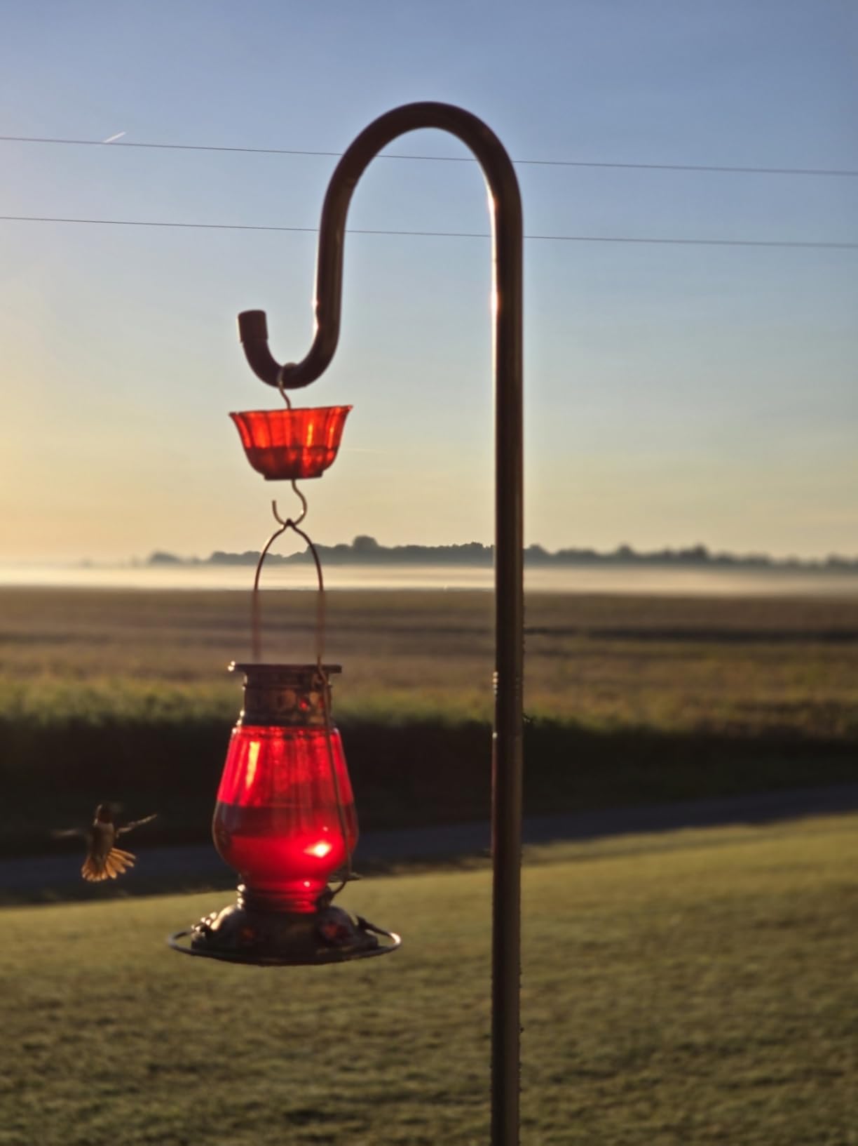 Ottsuls Bird Feeder Pole, 45 INCH Heavy Duty Shepherds Hooks for Outdoor with 5 Prong Base, Adjustable Stand Hanger for Garden Plant, Hummingbird Feeder, Lantern, Hanging Wedding Decor (1 Pack) - Customer Photo 1