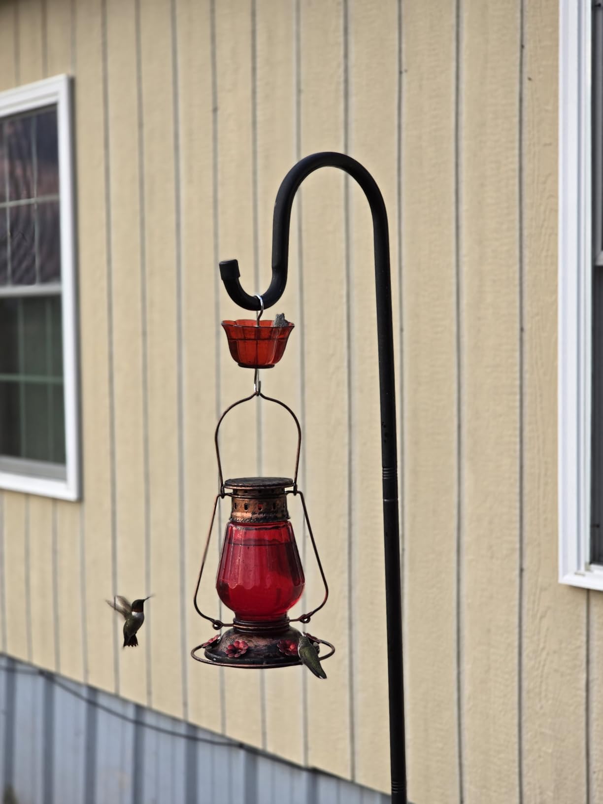 Ottsuls Bird Feeder Pole, 45 INCH Heavy Duty Shepherds Hooks for Outdoor with 5 Prong Base, Adjustable Stand Hanger for Garden Plant, Hummingbird Feeder, Lantern, Hanging Wedding Decor (1 Pack) - Customer Photo 3
