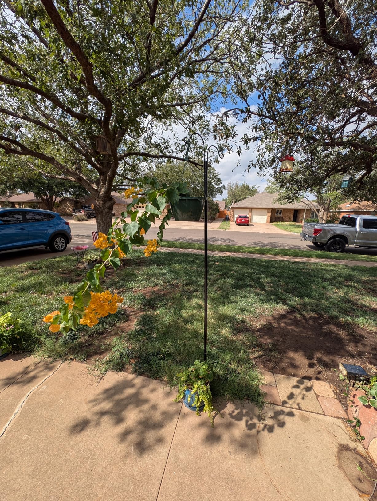 XDW-GIFTS Double Shepherds Hooks for Outdoor, 2-Pack Heavy Duty Garden Pole for Hanging Bird Feeder, Plant Baskets, Solar Light Lanterns, Garden Plant Hanger Stands with 5 Base Prongs - Customer Photo 2