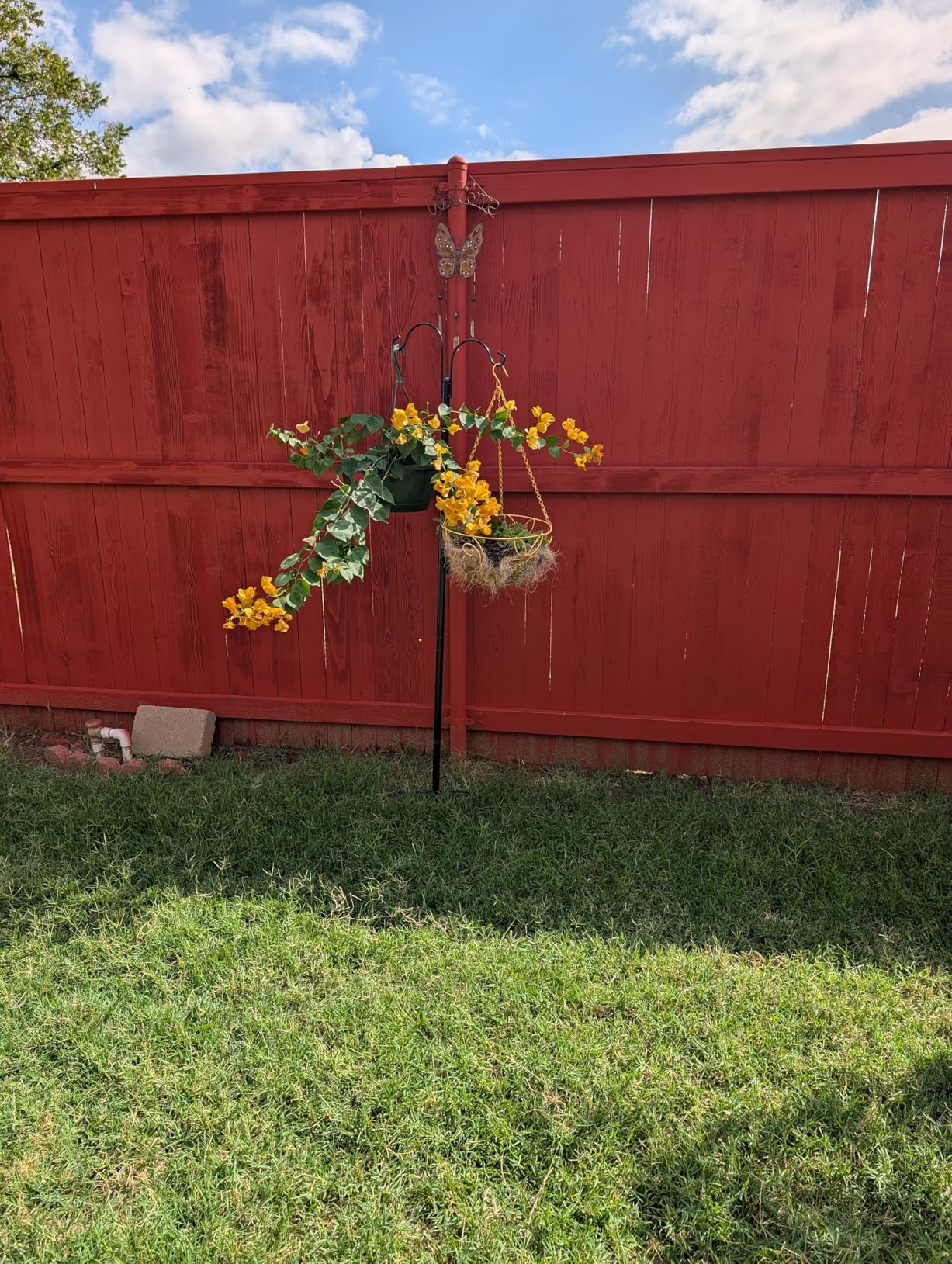 XDW-GIFTS Double Shepherds Hooks for Outdoor, 2-Pack Heavy Duty Garden Pole for Hanging Bird Feeder, Plant Baskets, Solar Light Lanterns, Garden Plant Hanger Stands with 5 Base Prongs - Customer Photo 4