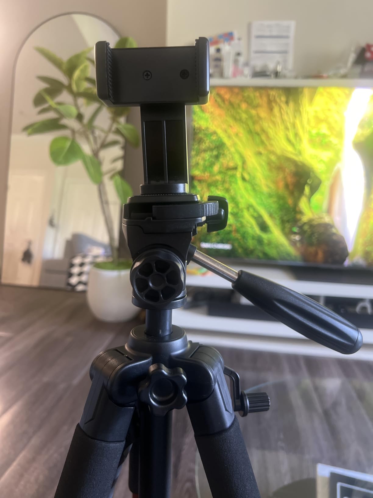 Victiv Tripod 74-Camera-Tripod for Cell Phone, Aluminum Professional Heavy Duty Camera Tripod Stand, Tripod for Camera DSLR SLR with Carry Bag, Compatible with Canon Nikon iPhone - Customer Photo 1
