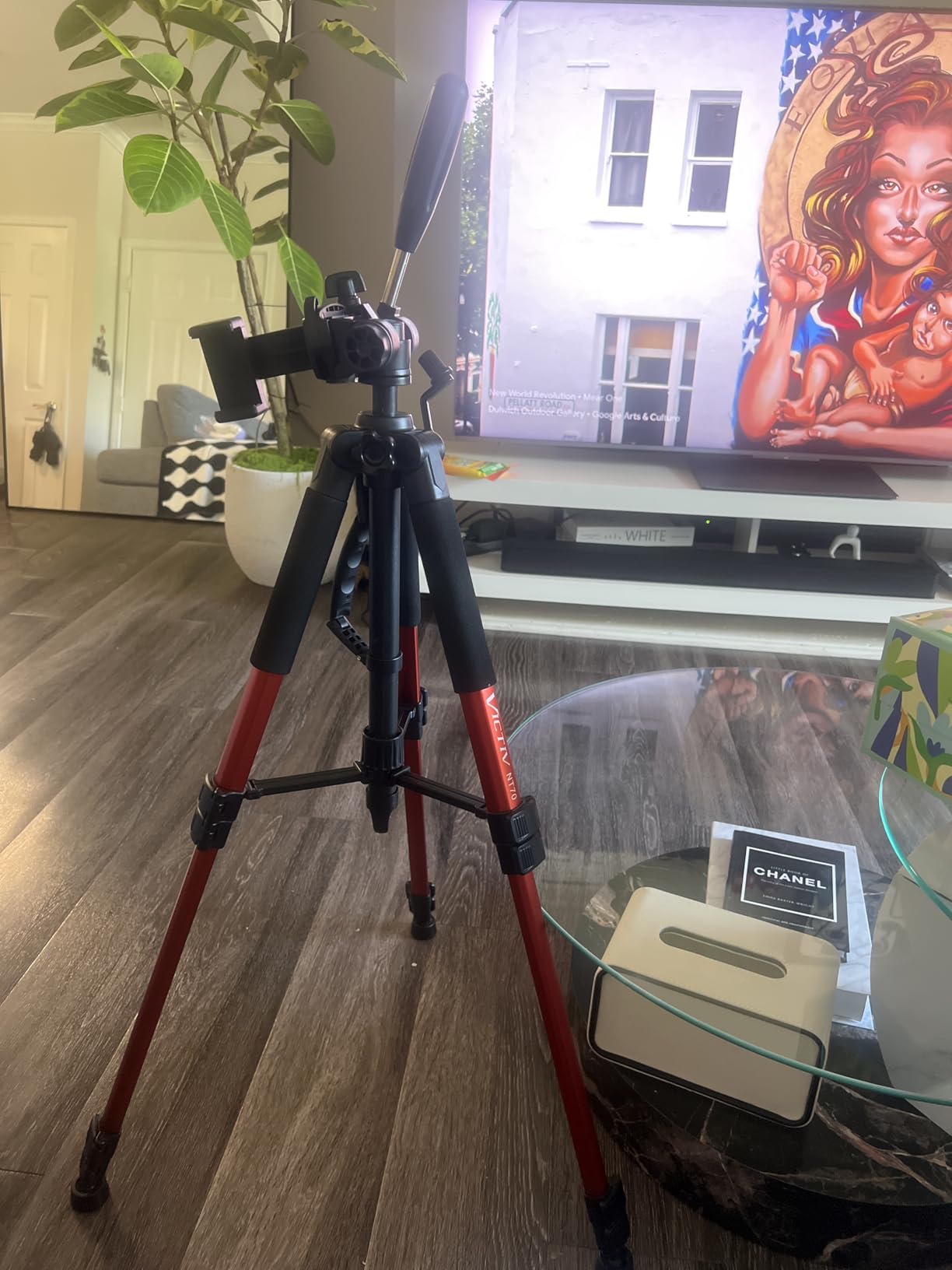 Victiv Tripod 74-Camera-Tripod for Cell Phone, Aluminum Professional Heavy Duty Camera Tripod Stand, Tripod for Camera DSLR SLR with Carry Bag, Compatible with Canon Nikon iPhone - Customer Photo 2