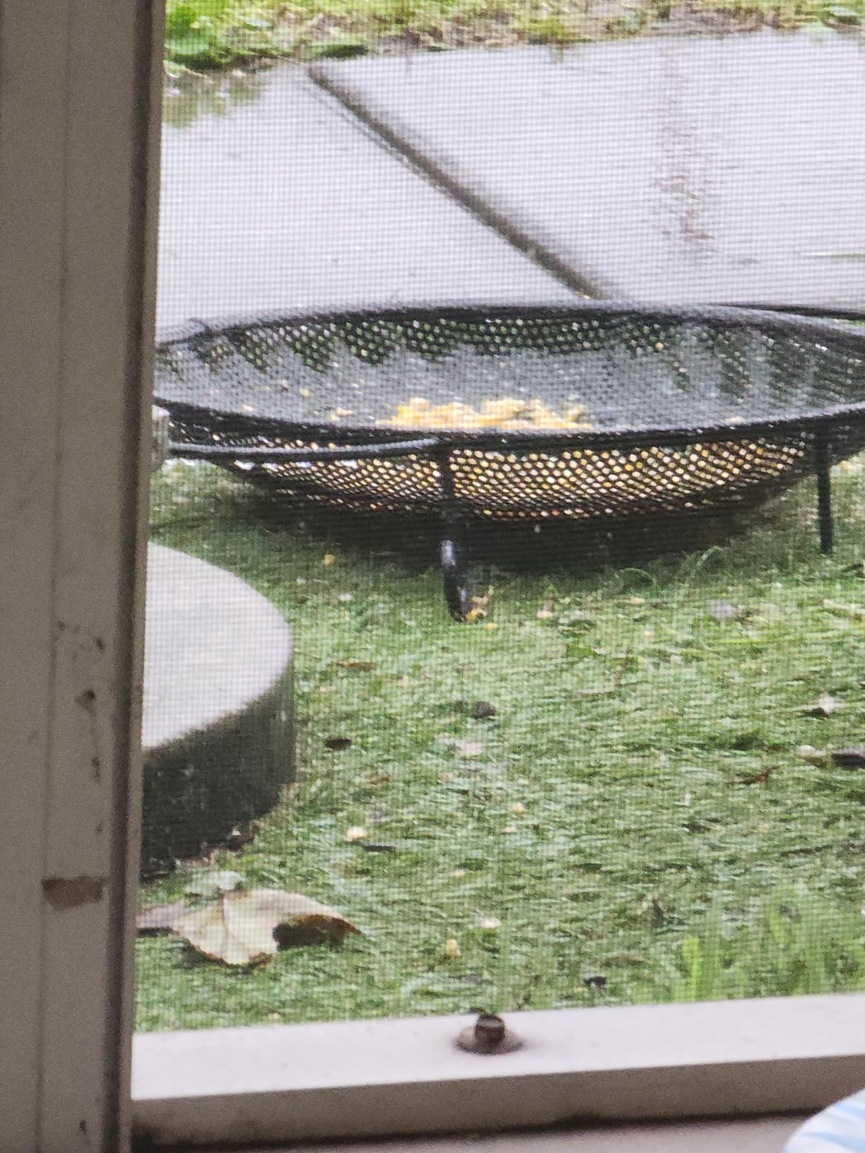 CQAIRIOU Upgraded Ground Platform Bird Feeder Tray, 11.8