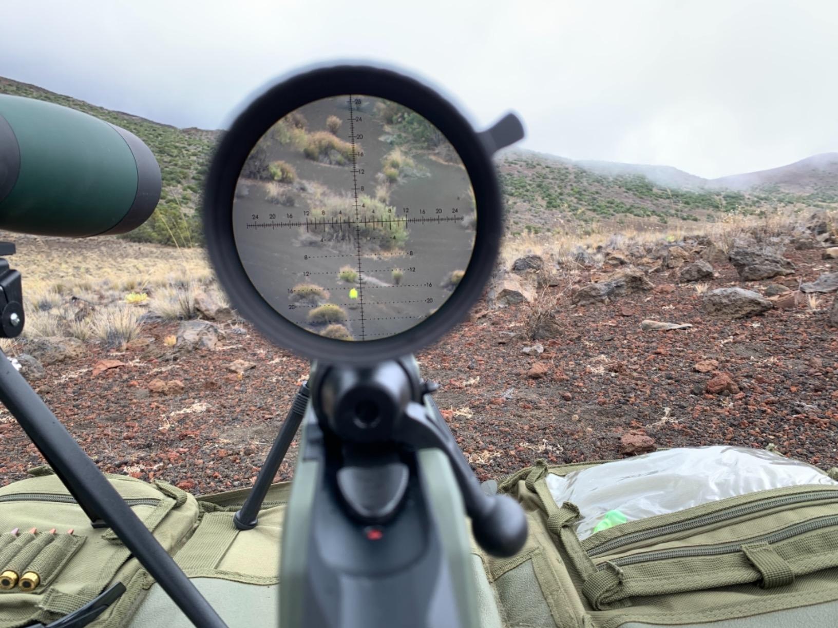 Vortex Optics Strike Eagle 1-8x24 First Focal Plane Riflescope - EBR-8 Reticle (MOA), Black Customer Review Vortex Optics Strike Eagle 1-8x24 First Focal Plane Riflescope - EBR-8 Reticle (MOA), Black - Customer Photo 4