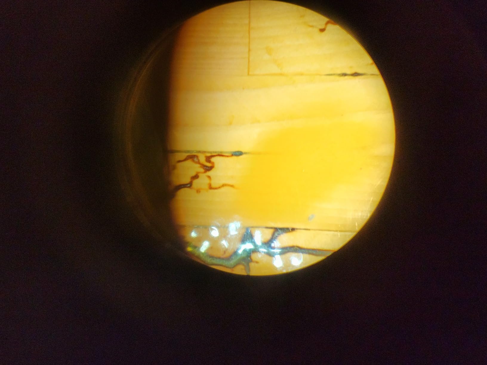 DZQ ZQ-1 Multi-Directional Microscope 7X-45X Magnification 0.5X Barlow Lens customer photo 1