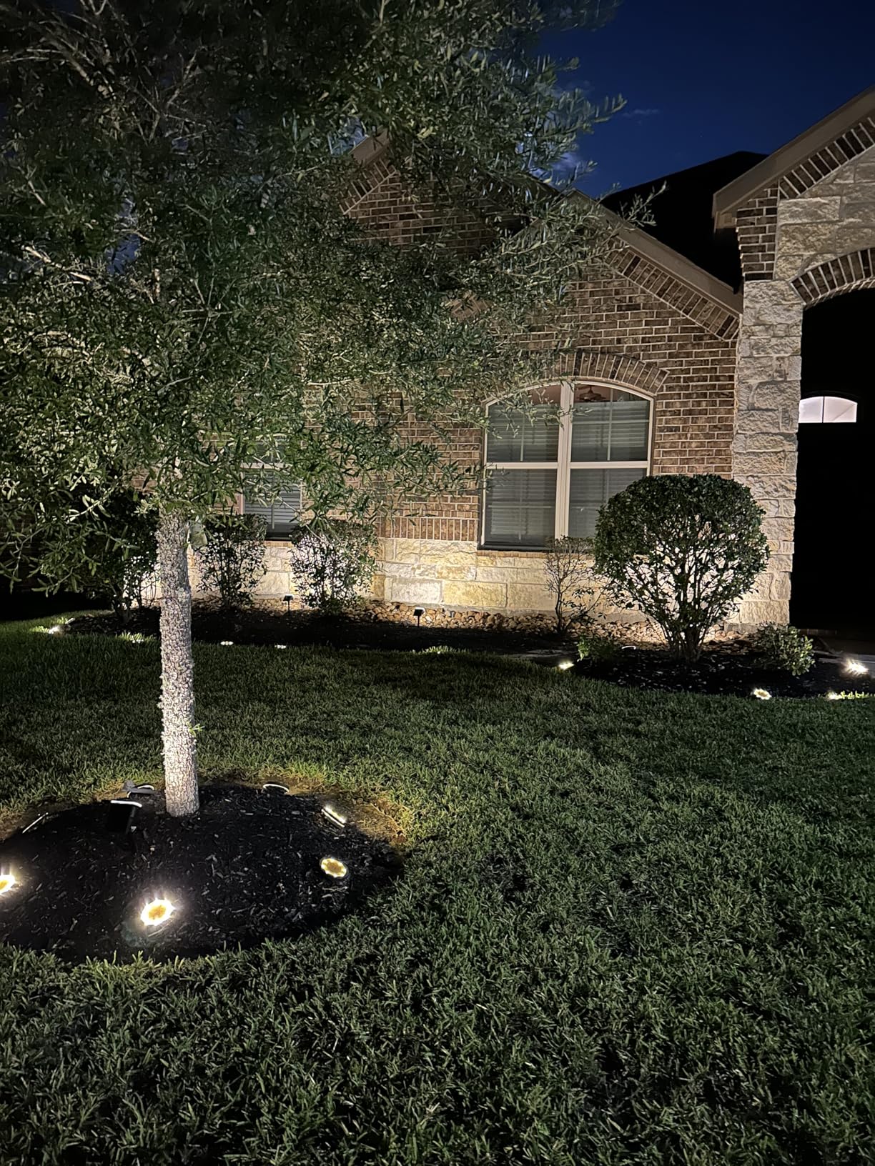 NYMPHY Solar Lights Outdoor Waterproof IP68, 56 LED 3 Lighting Modes Solar Powered Garden Yard Spot Solar Lights for Outside Landscape- 4 Pack (Cool White) Customer Review NYMPHY Solar Lights Outdoor Waterproof IP68, 56 LED 3 Lighting Modes Solar Powered Garden Yard Spot Solar Lights for Outside Landscape- 4 Pack (Cool White) - Customer Photo 3