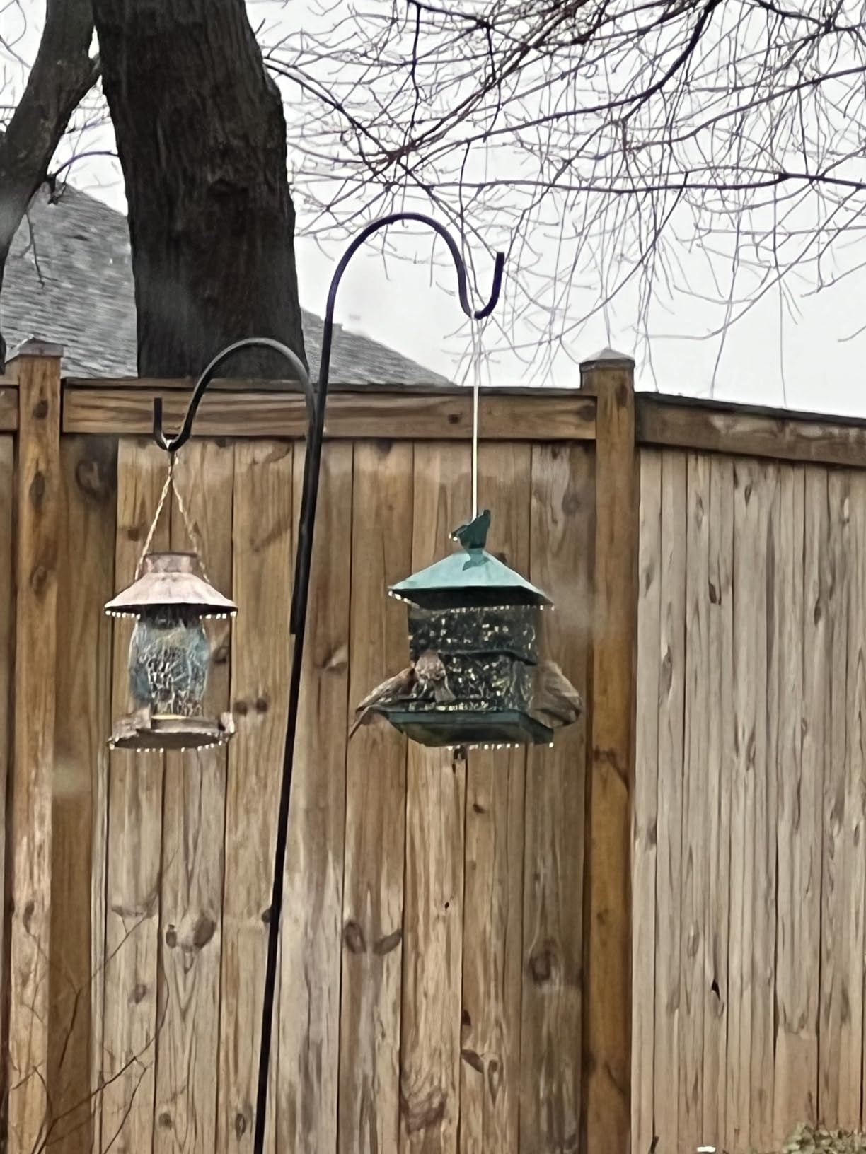 Bird Feeders for Outdoors, 6.5lb Large Capacity, Heavy Duty Metal Bird Feeder, Supports Cardinal, Finch, Blue Jay and Wild Birds(Green) - Customer Photo 1