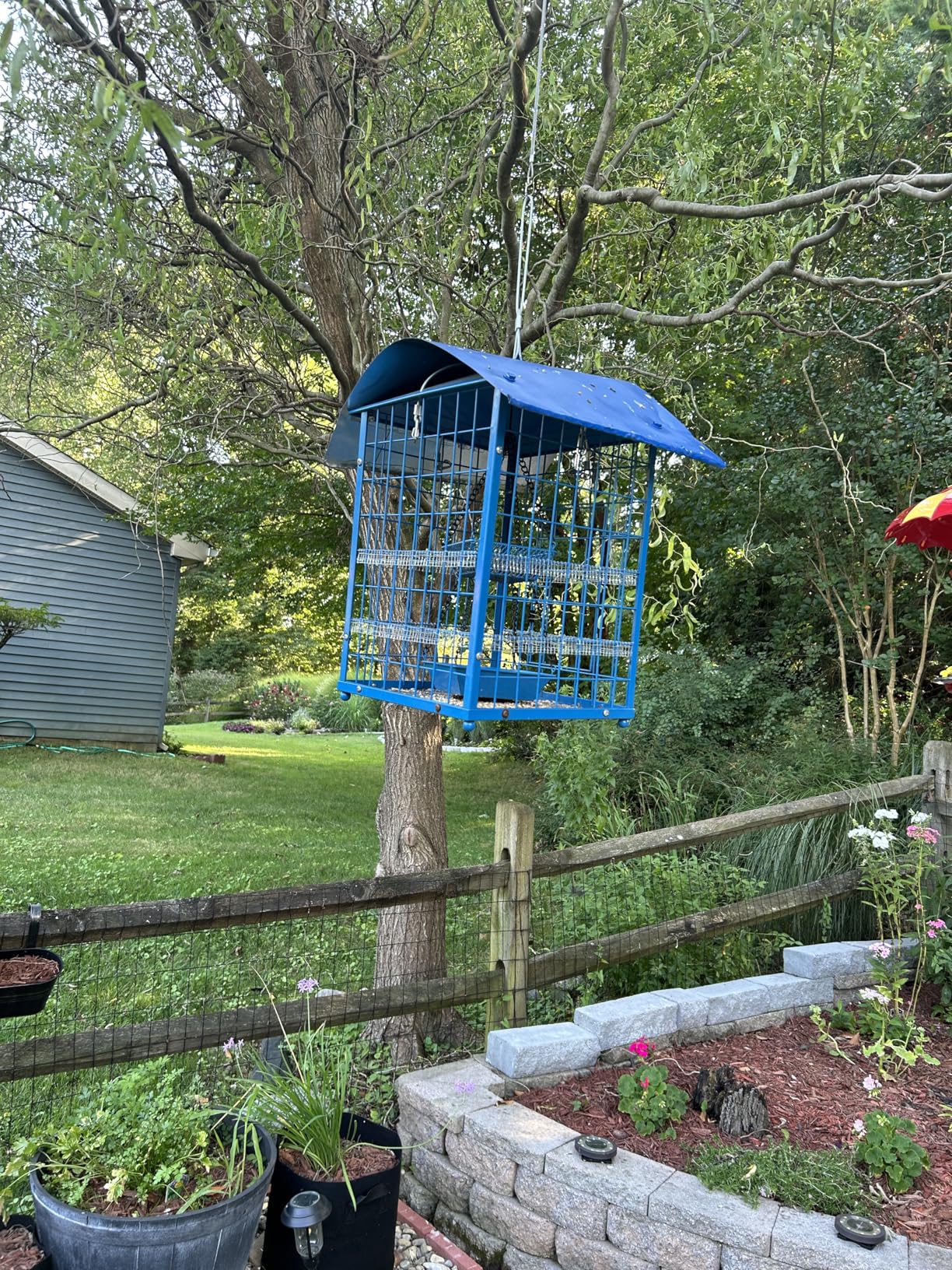 Mealworms Bird Feeders for Bluebirds - Metal - Huge Caged Squirrel-proof Bird Feeders with 2 Cups, DIY Wild Bird Feeders Outdoor Hanging (Blue), Attract Small Birds, 2lbs Seed Capacity+1 Mealworms Cup - Customer Photo 1