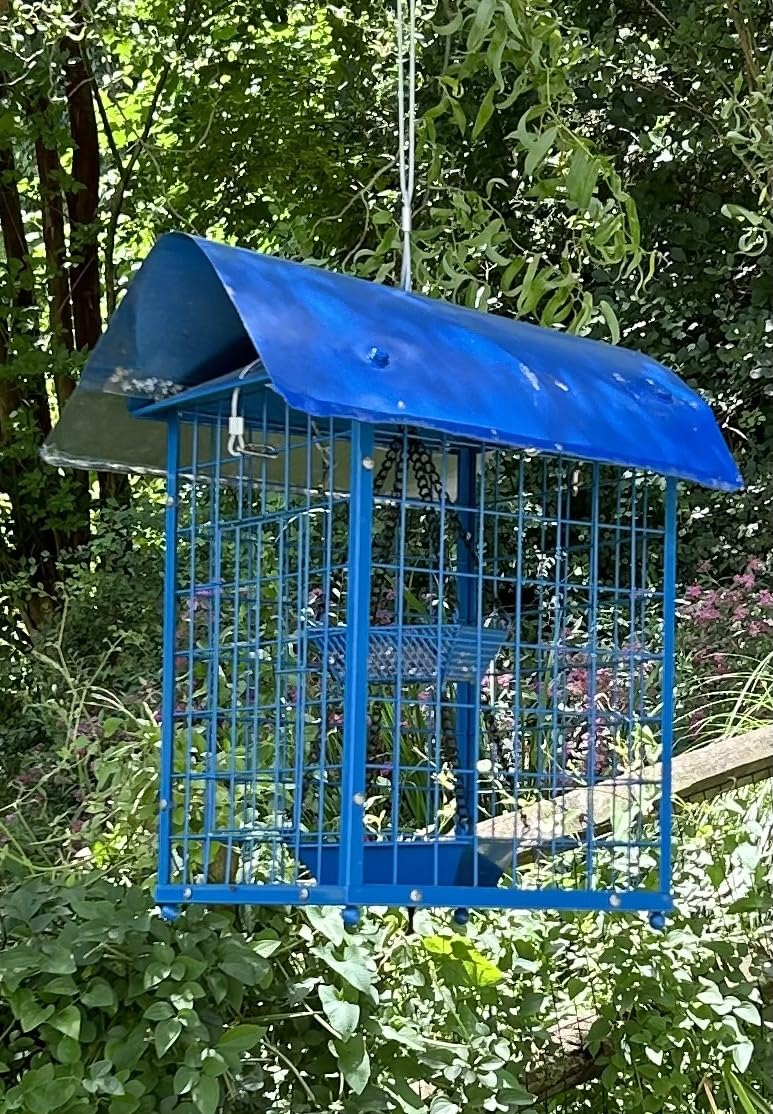 Mealworms Bird Feeders for Bluebirds - Metal - Huge Caged Squirrel-proof Bird Feeders with 2 Cups, DIY Wild Bird Feeders Outdoor Hanging (Blue), Attract Small Birds, 2lbs Seed Capacity+1 Mealworms Cup - Customer Photo 2