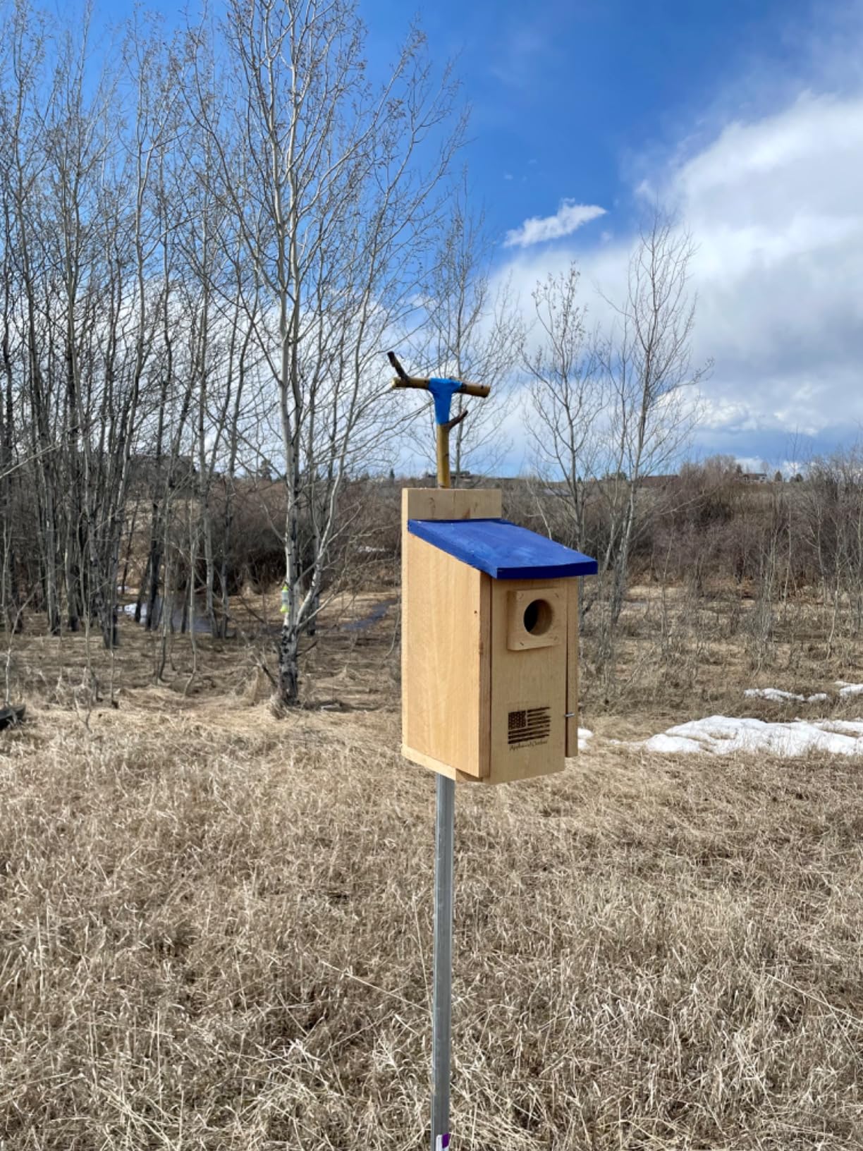 Made in USA,Premium Rustic Cedar Bird Houses,Durable Bird Houses for Outside w/Predator Guard,Easy-to-Install Bird Box for Bluebirds, Chickadees, and Wrens,Includes Mounting Screws- Applewood Outdoor - Customer Photo 3