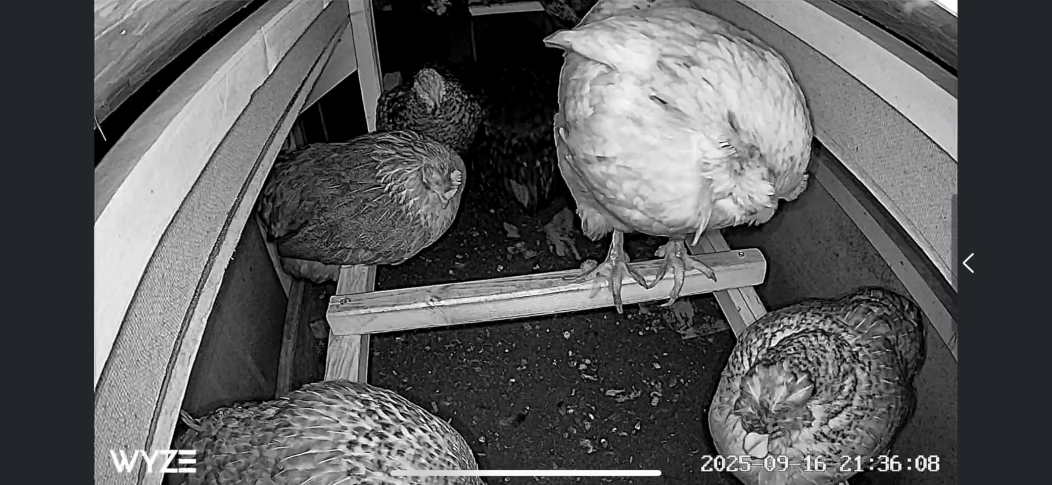 Wyze Cam OG Indoor/Outdoor 1080p Wi-Fi Smart Home Security Camera with Color Night Vision, Built-in Spotlight, Motion Detection, 2-Way Audio, Compatible with Alexa & Google, White, Free Expert Setup - Customer Photo 2