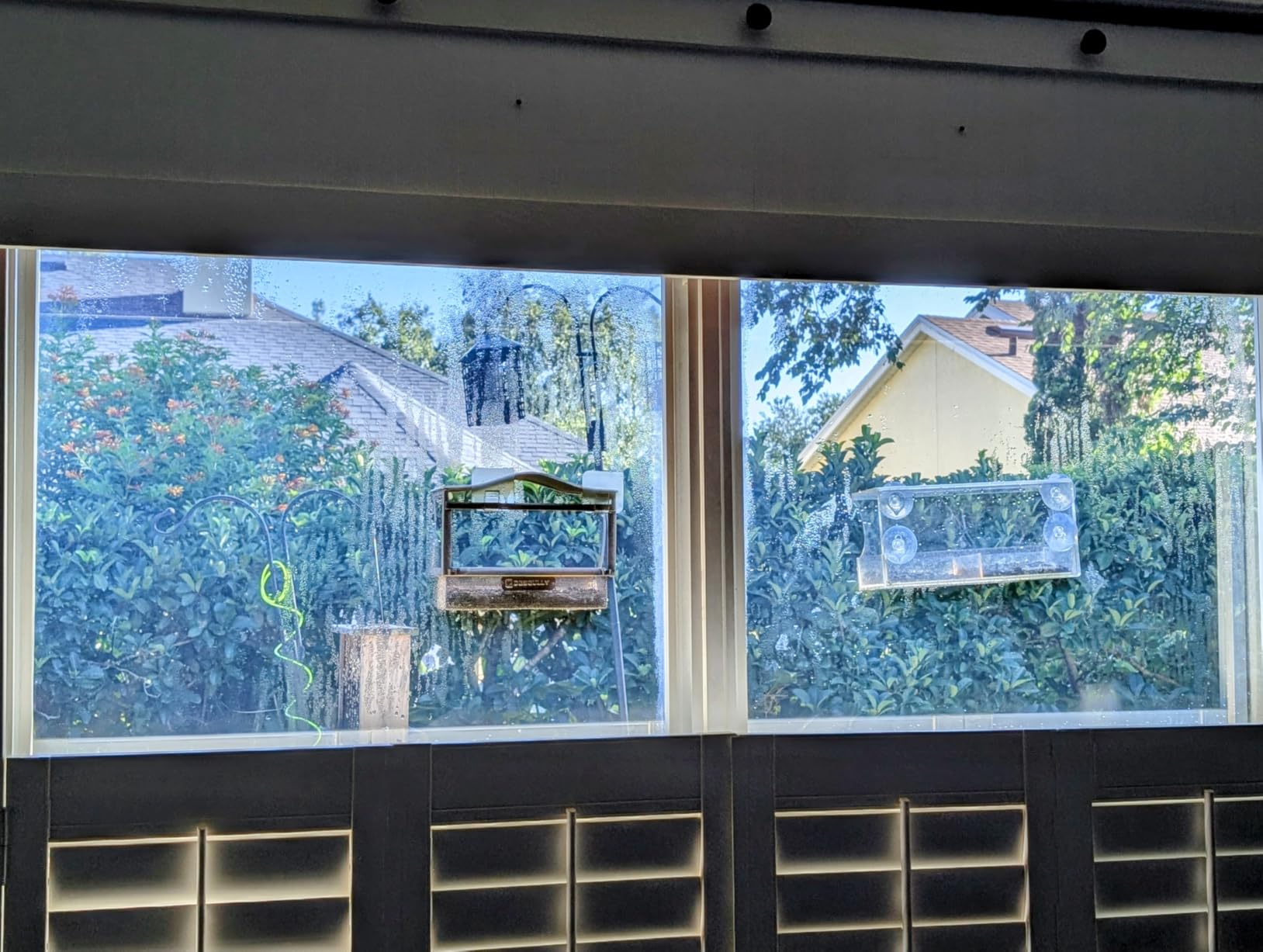 Window Bird Feeder, Metal - with Strong Suction Cups, Large Outdoor for Viewing Bird Watching Gift (Curved) - Customer Photo 3