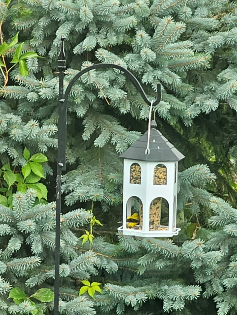 Kingsyard Metal Bird Feeder for Outdoor Hanging, Wild Bird Feeders with Circular Perch, Easy to Clean & Refill, 4 lbs Large Seed Capacity, Red - Customer Photo 1